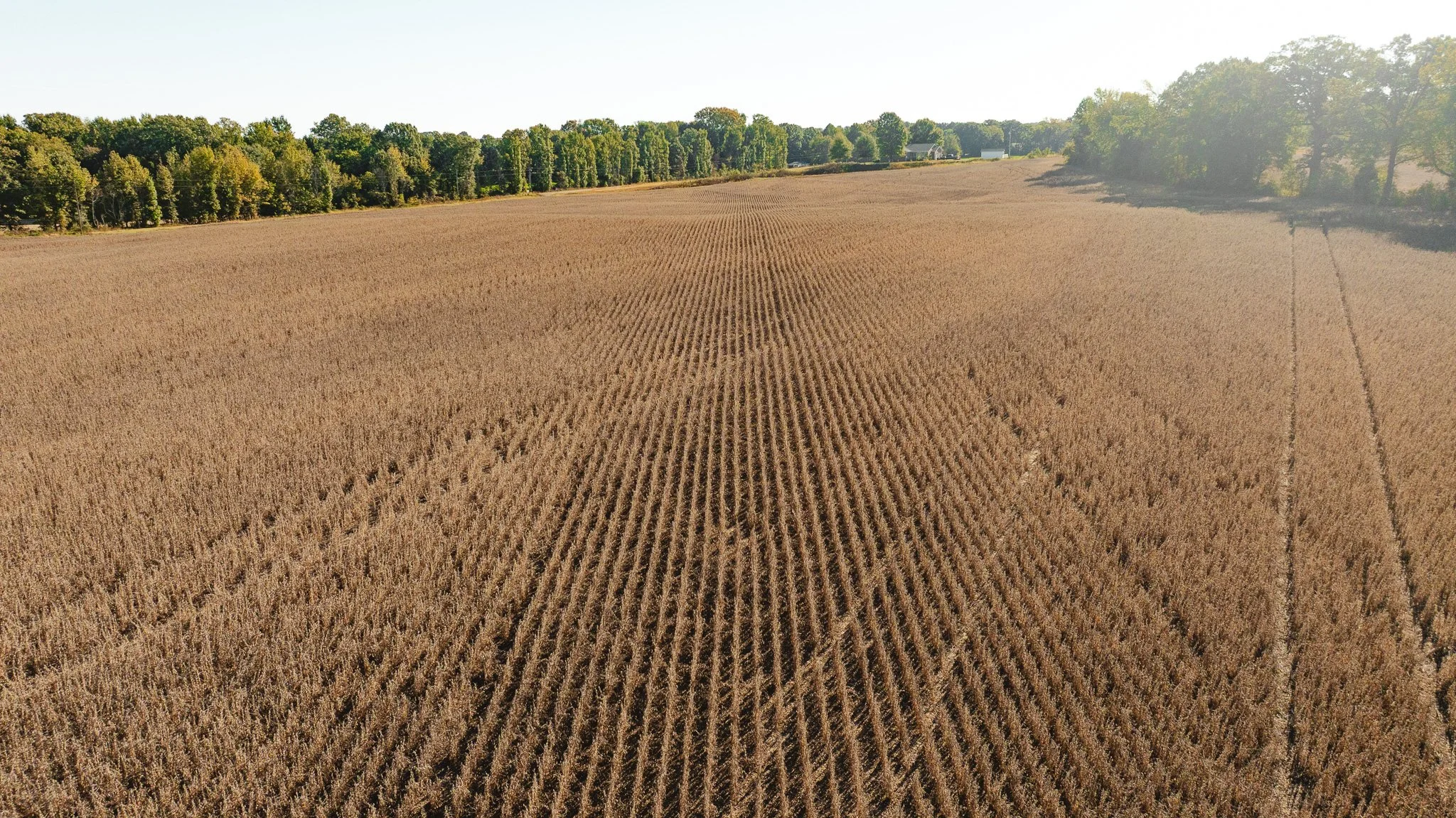 dji_fly_20261018_163828_0097_1792519574310_photo.jpg