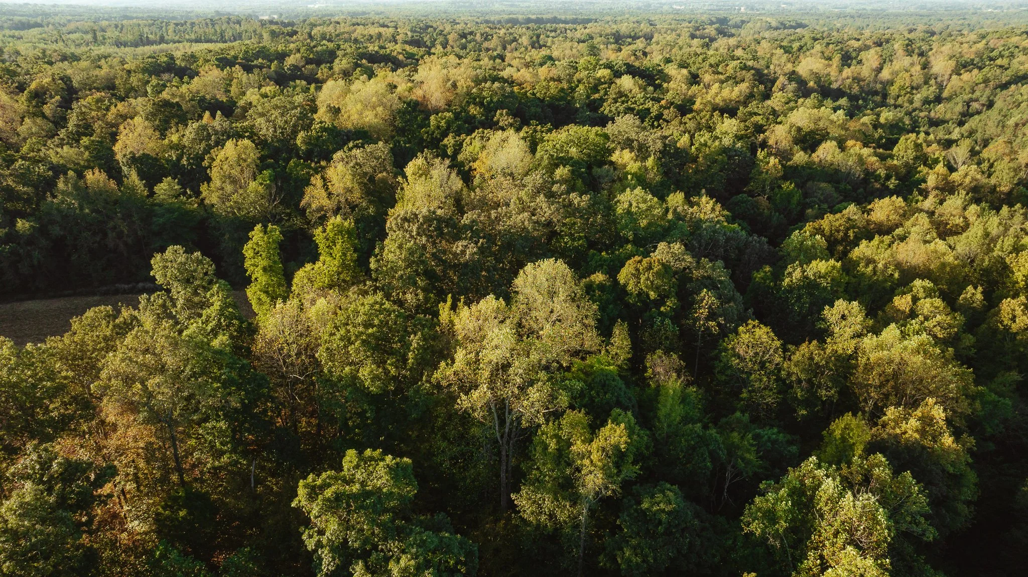 DJI_20261007150817_0021_D.jpg