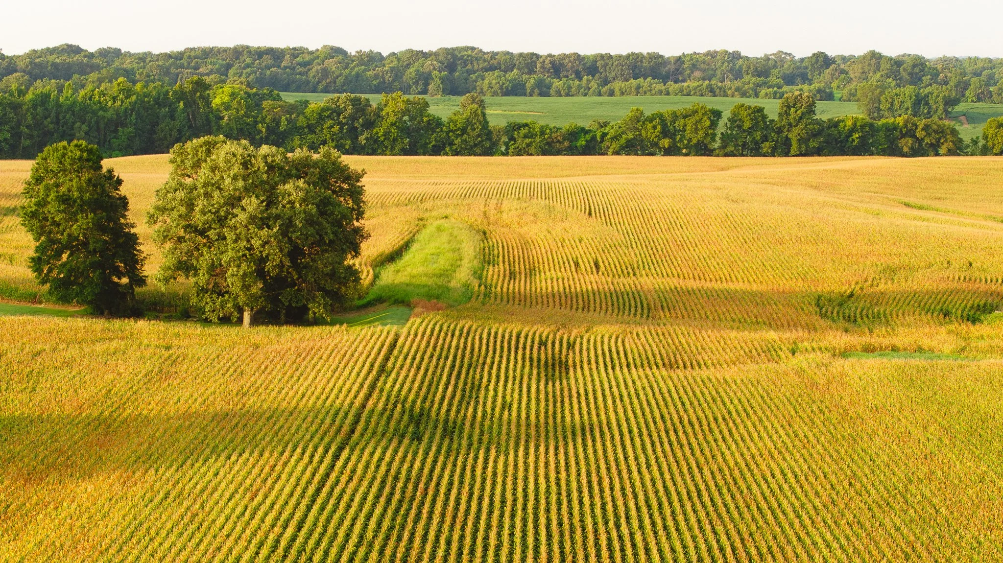DJI_20260729143038_0030_D.jpg