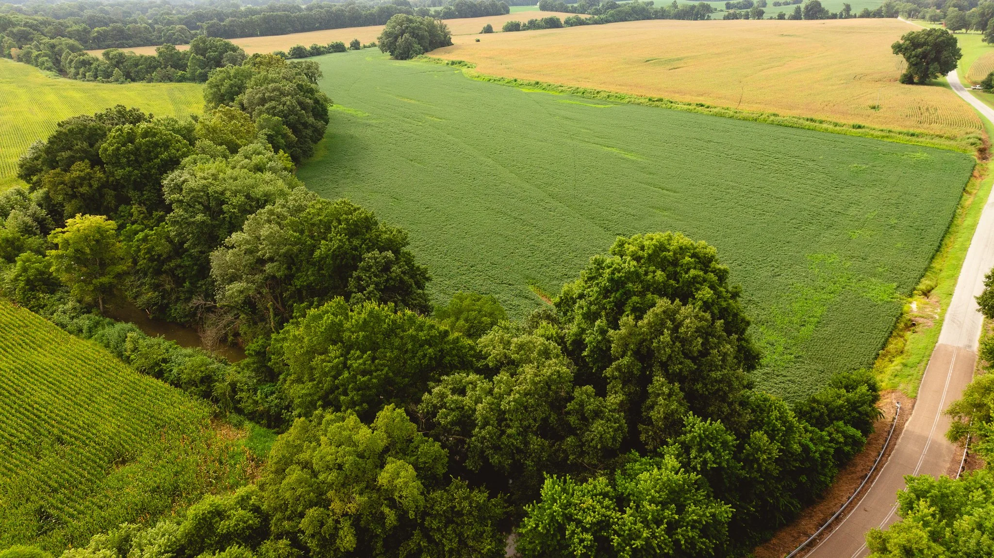DJI_20260729160759_0080_D.jpg