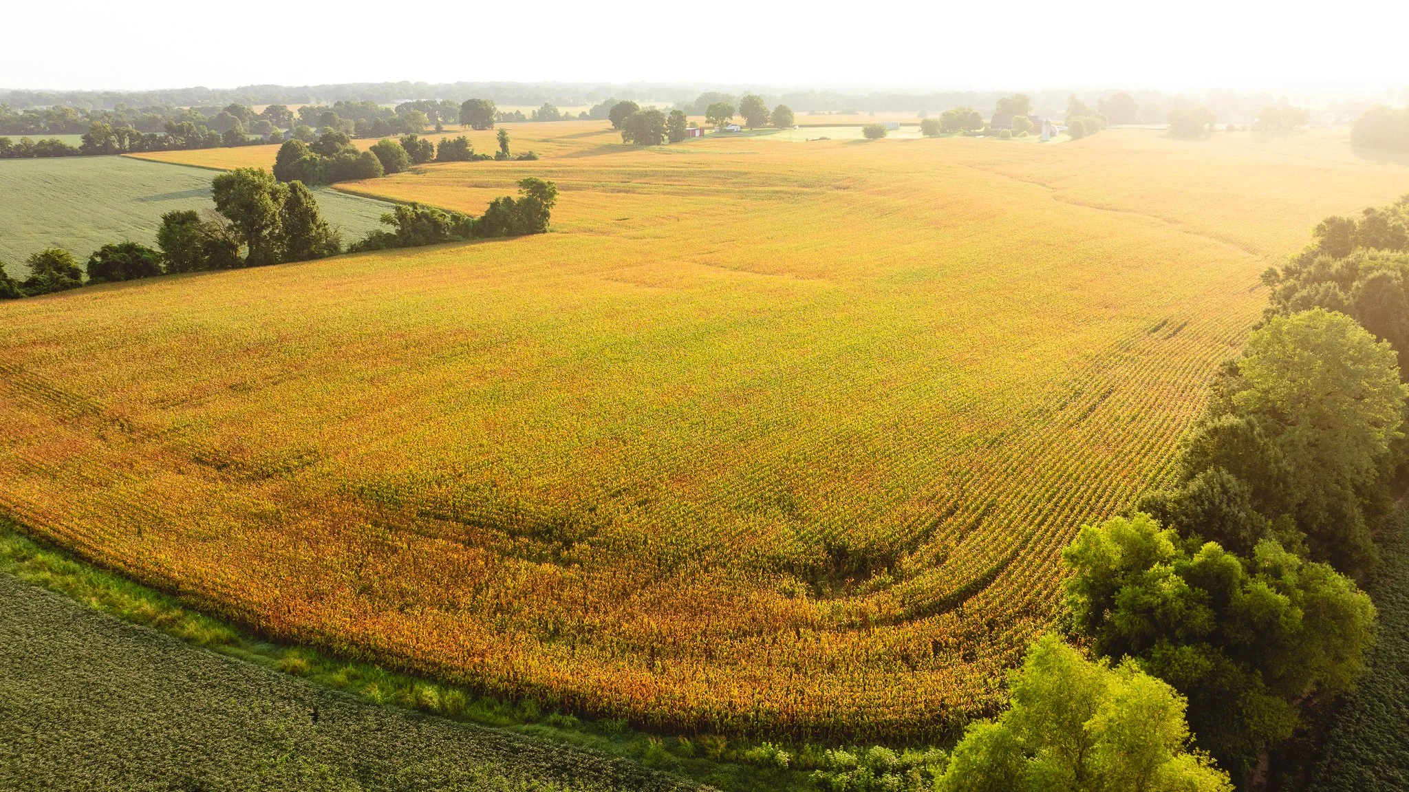 DJI_20260729143644_0052_D.jpg
