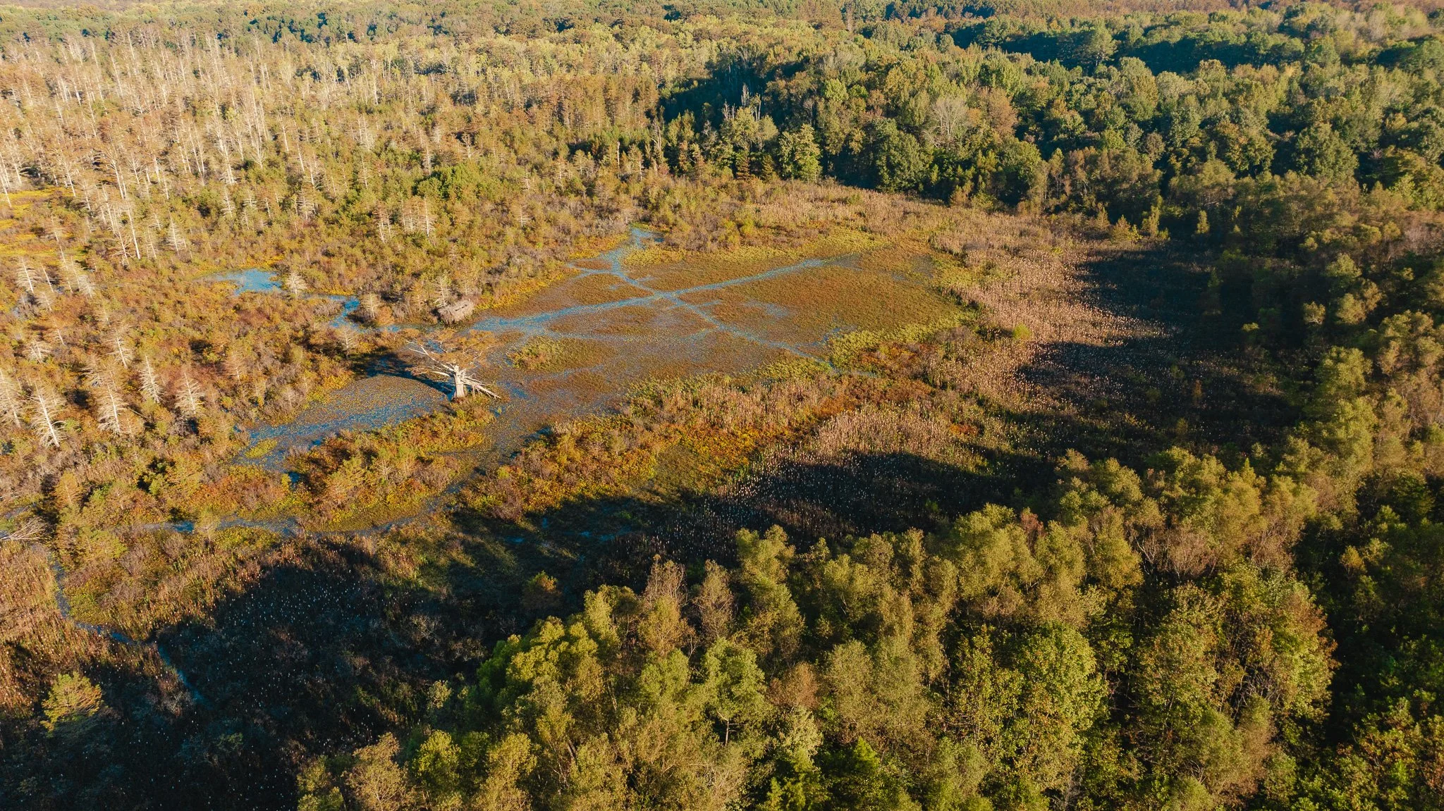 DJI_20261018154357_0007_D.jpg