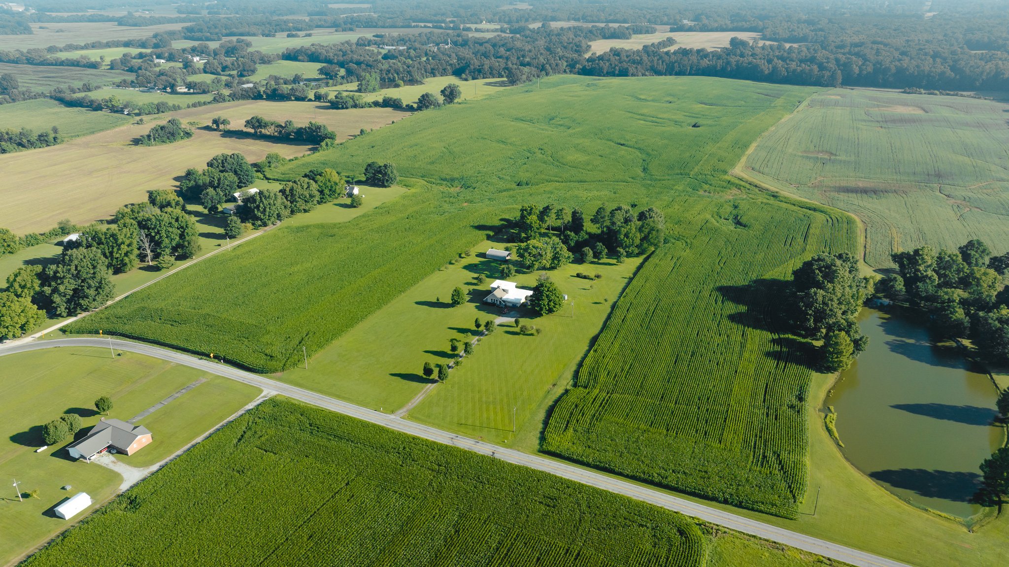 DJI_20260621151215_0009_D.jpg