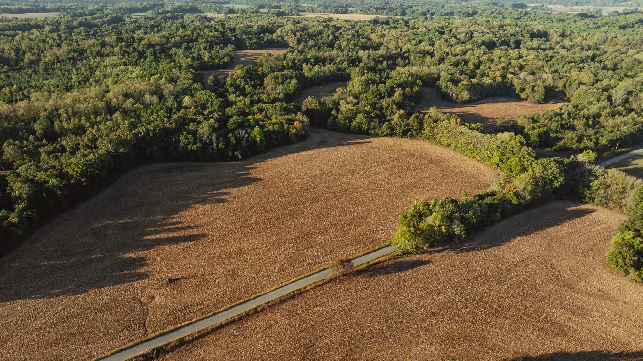 DJI_20261007150325_0008_D.jpg