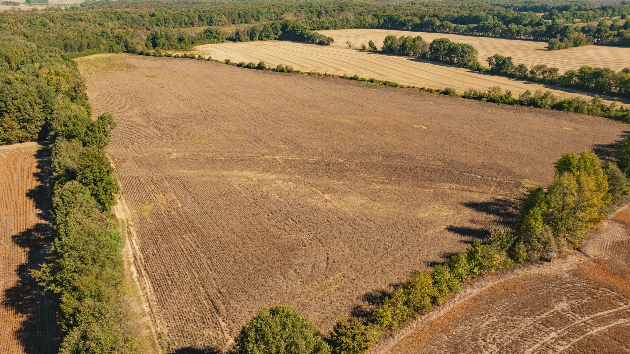DJI_20261018180212_0064_D.jpg