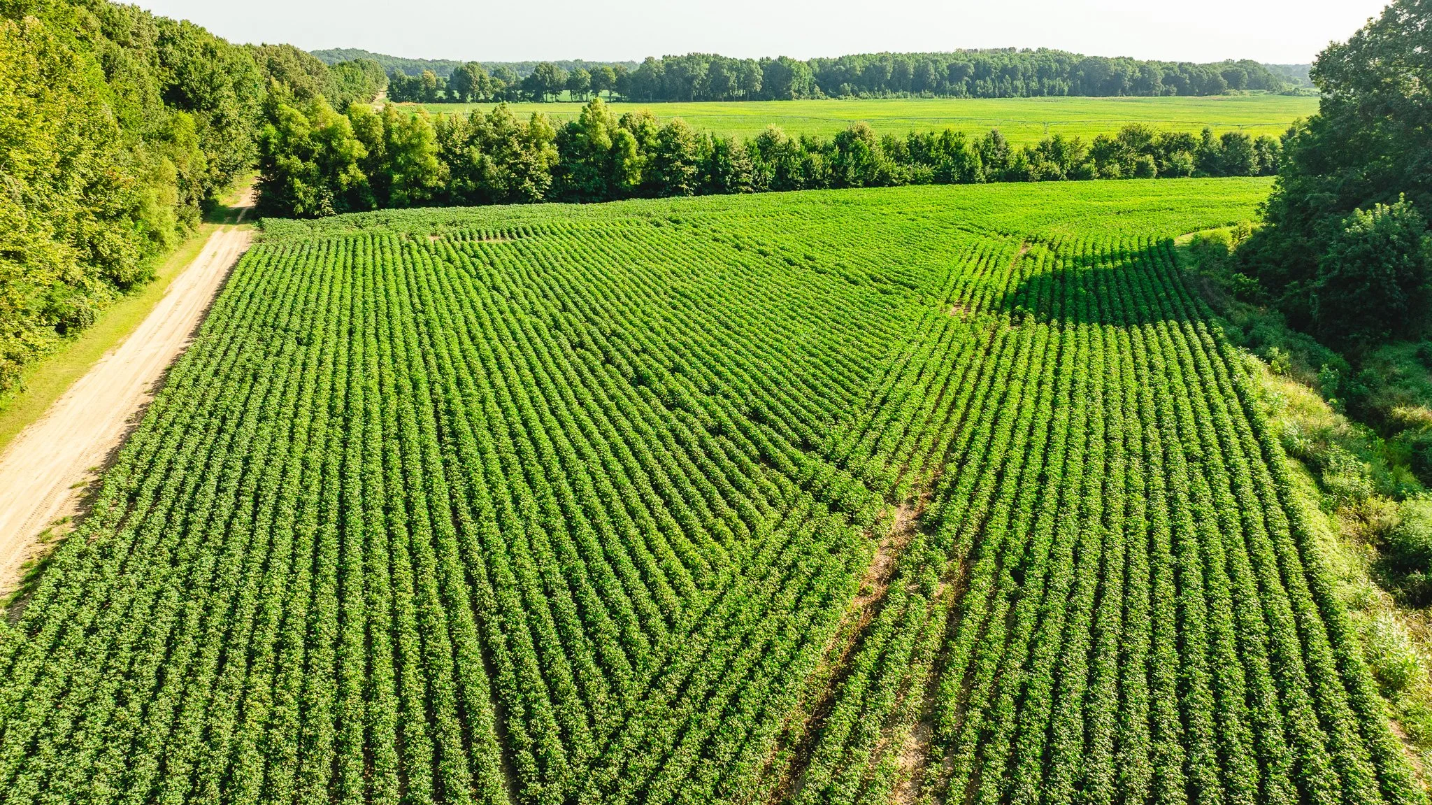 DJI_20260810161105_0057_D.jpg