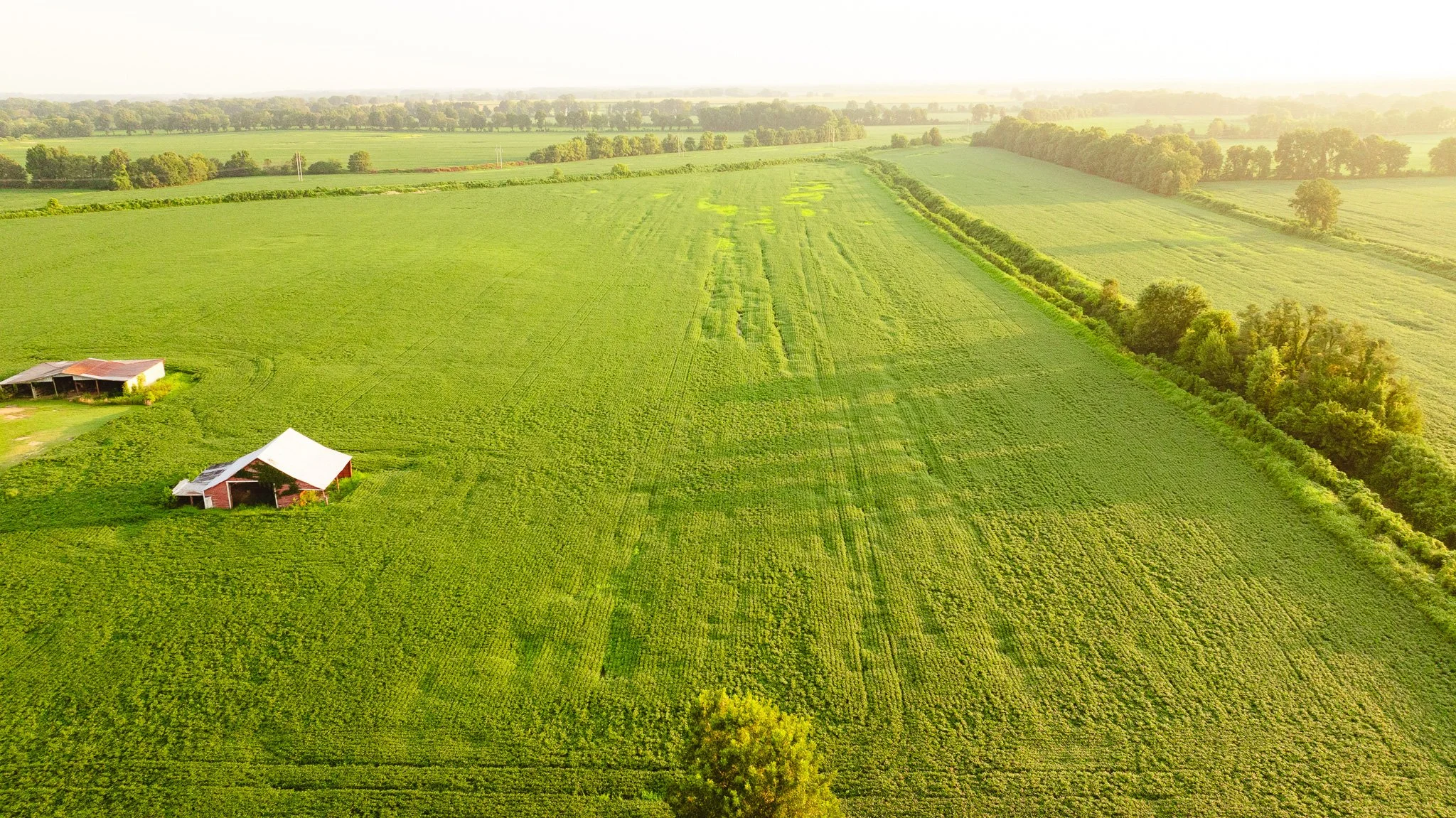 DJI_20260726140615_0050_D.jpg