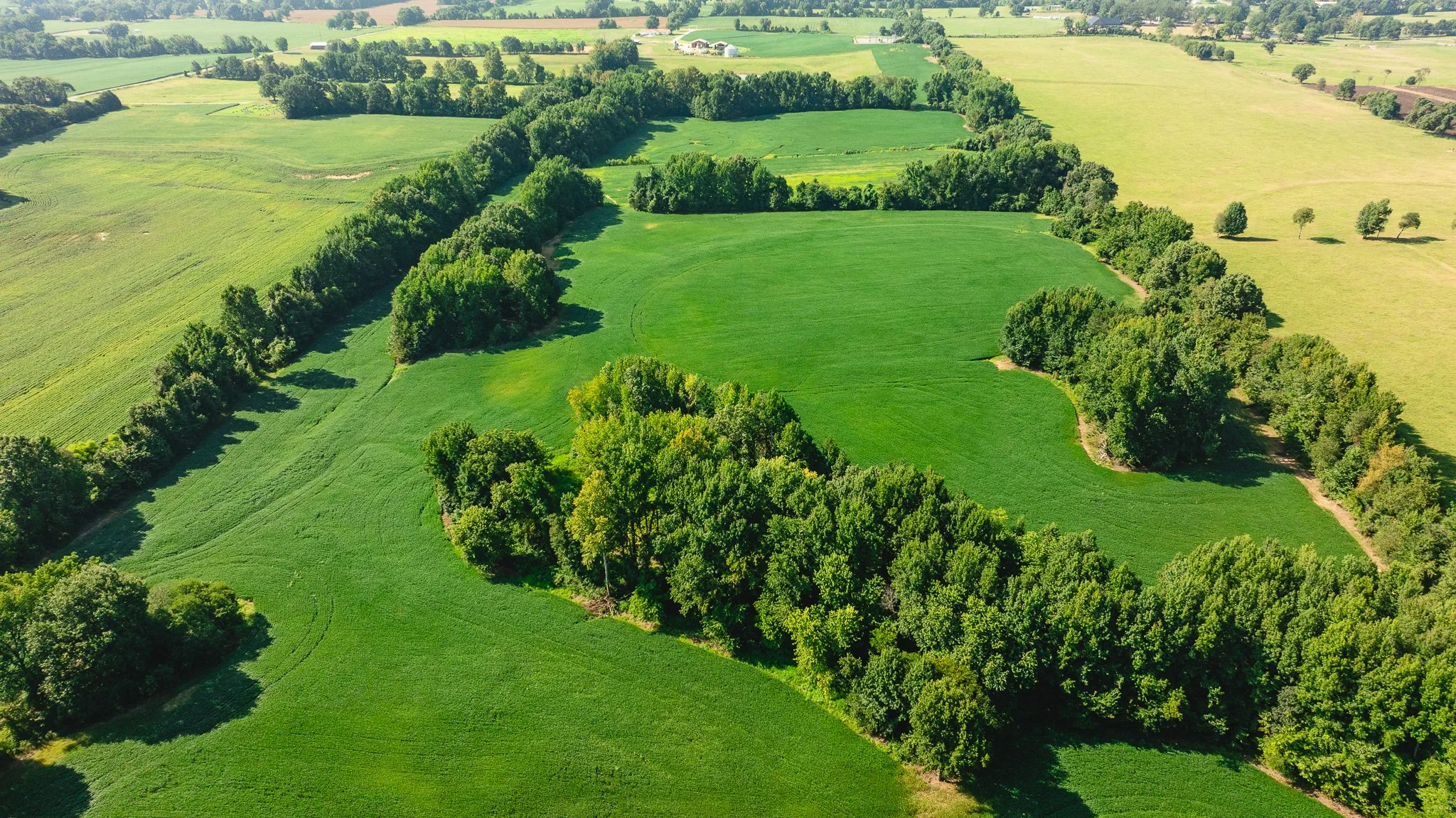 DJI_20260810170435_0093_D.jpg