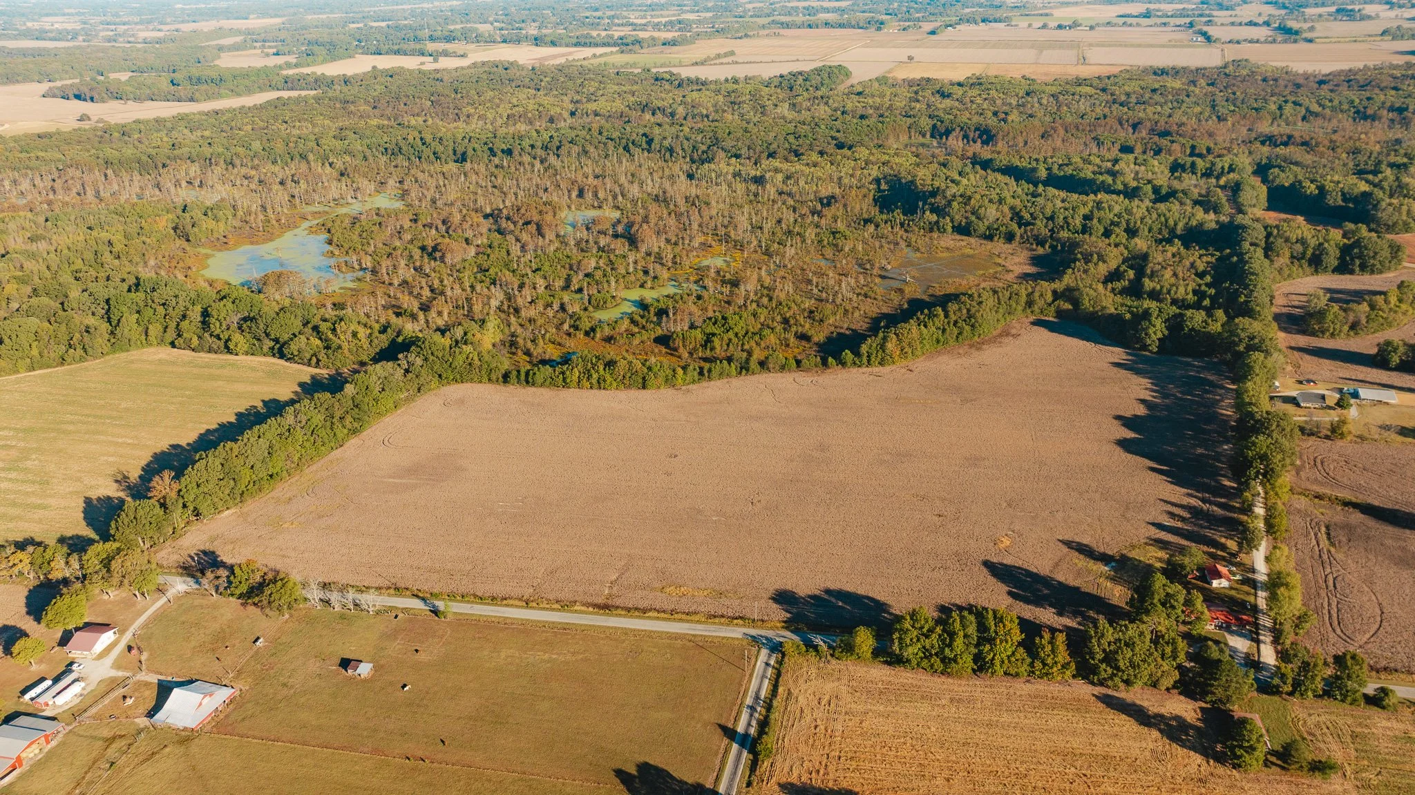 DJI_20261018154624_0010_D.jpg