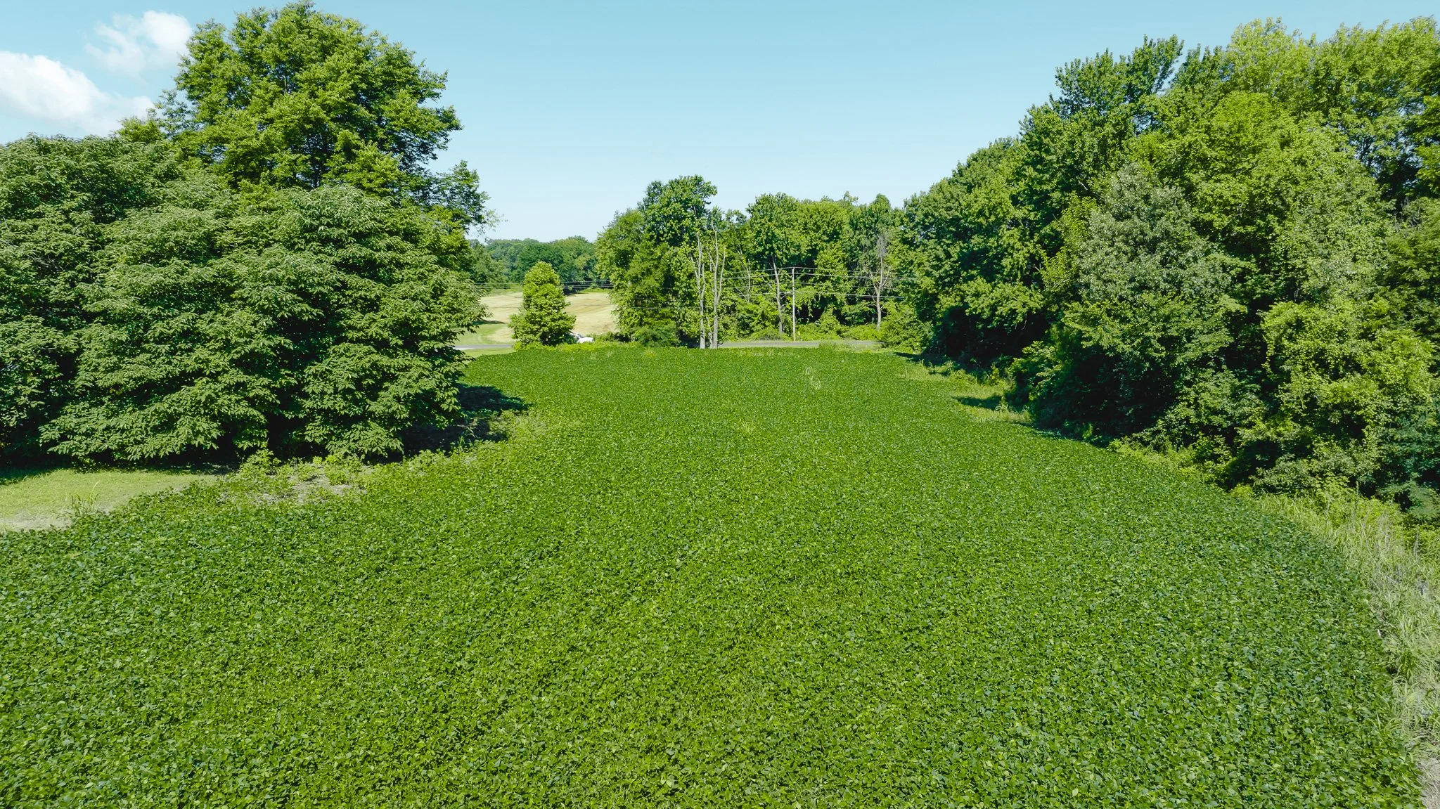 DJI_20260614170231_0011_D.jpg
