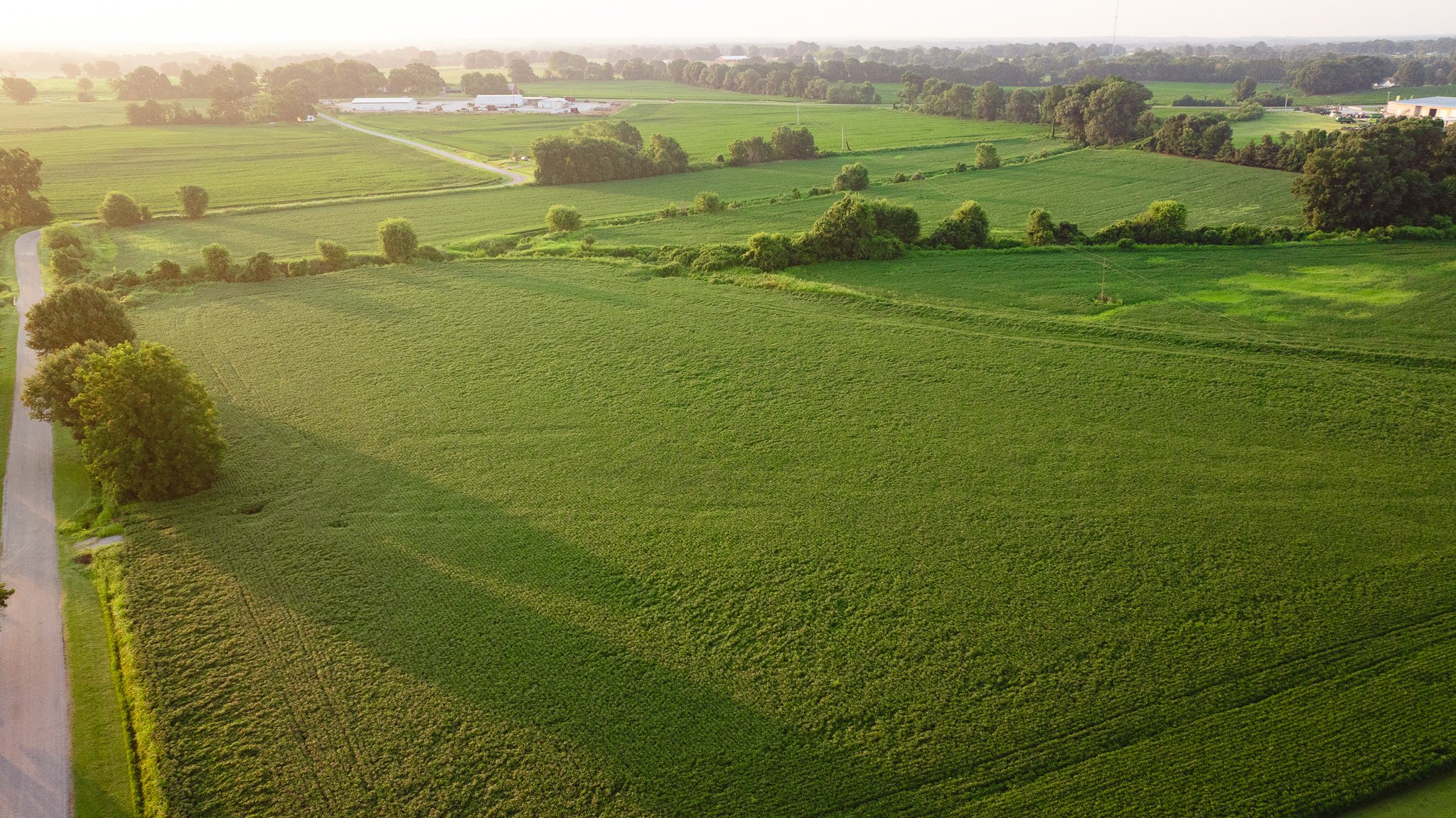 DJI_20260726135920_0035_D.jpg