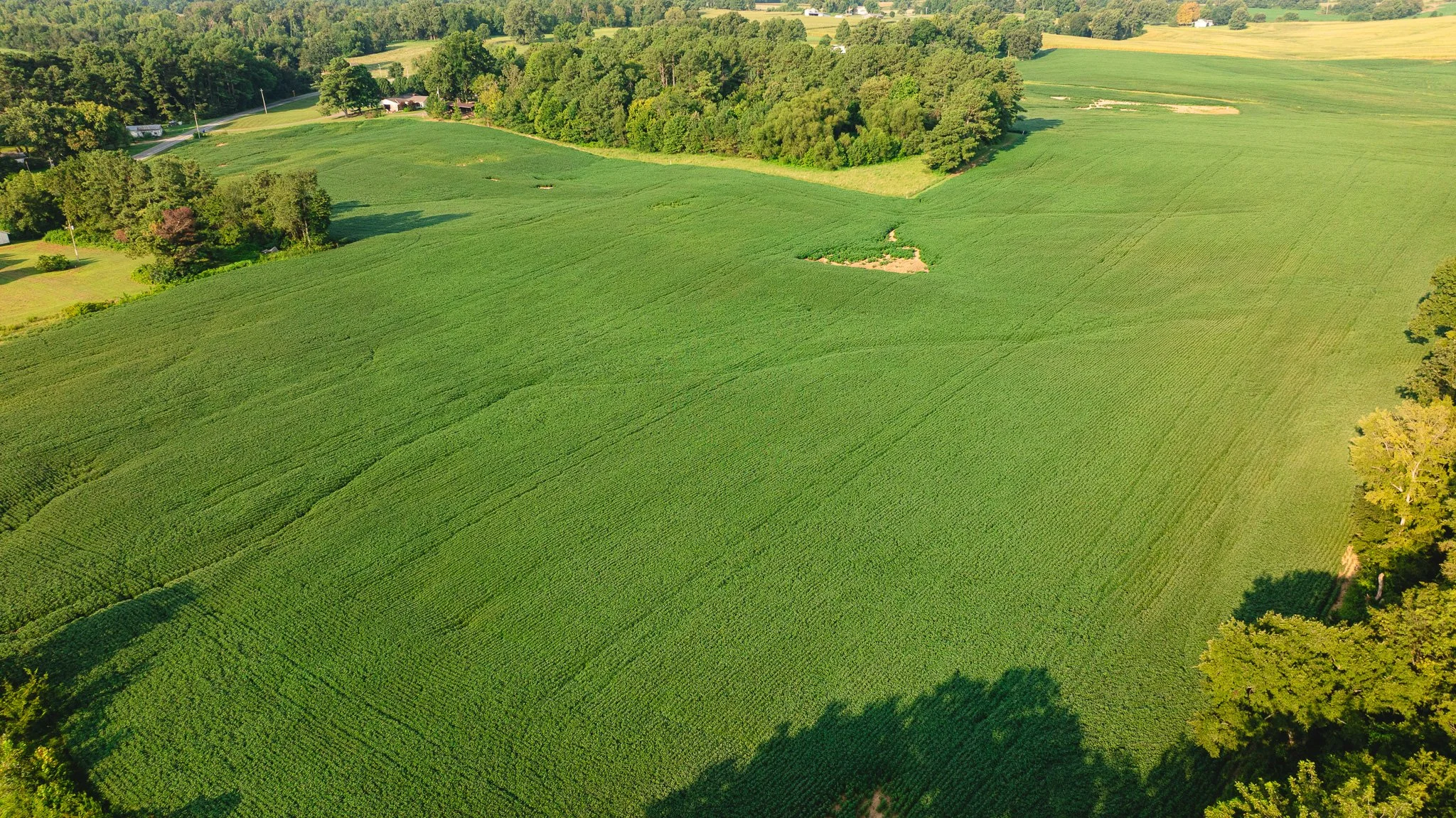 DJI_20260804152253_0075_D.jpg