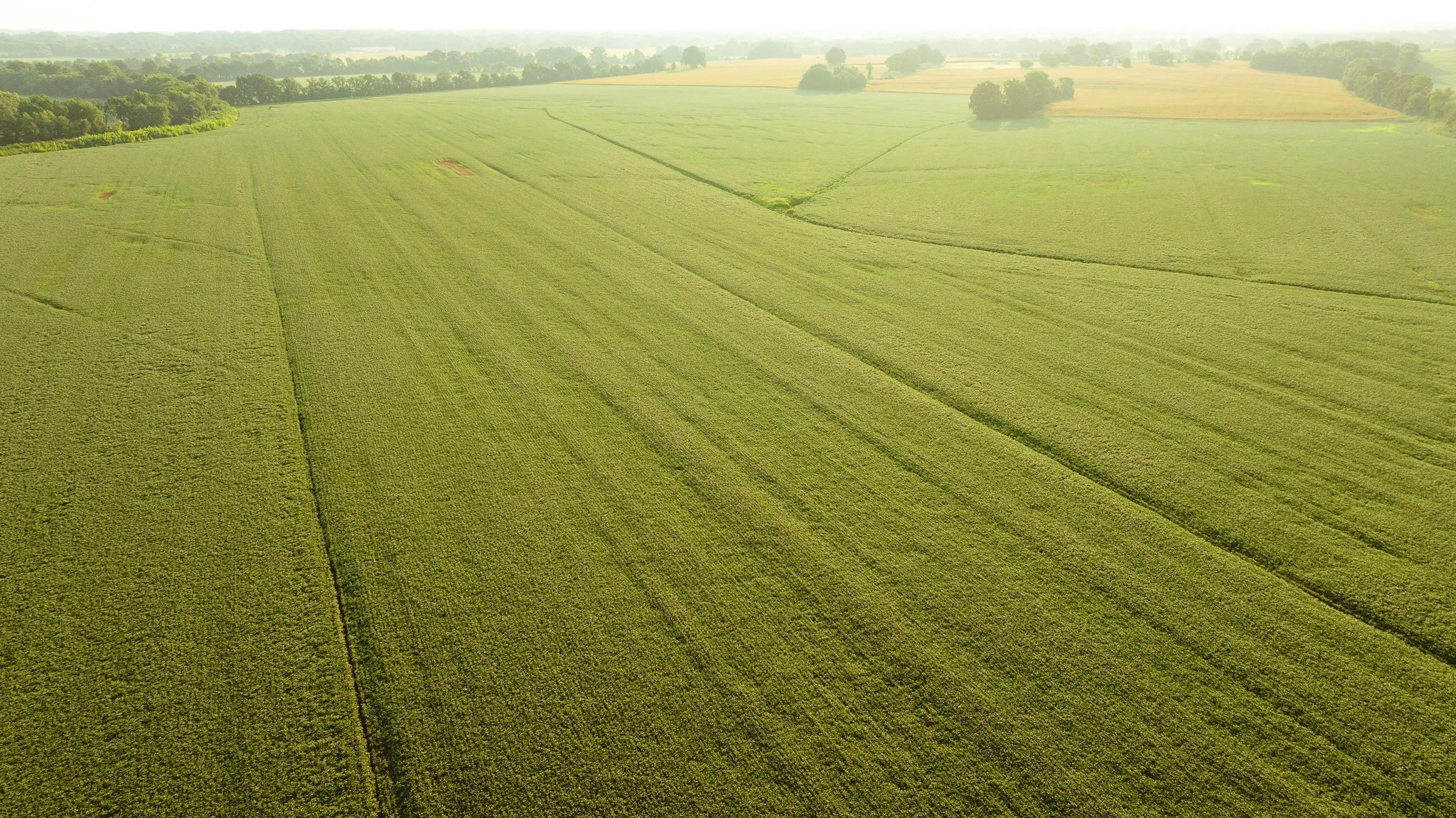 DJI_20260729144044_0061_D.jpg
