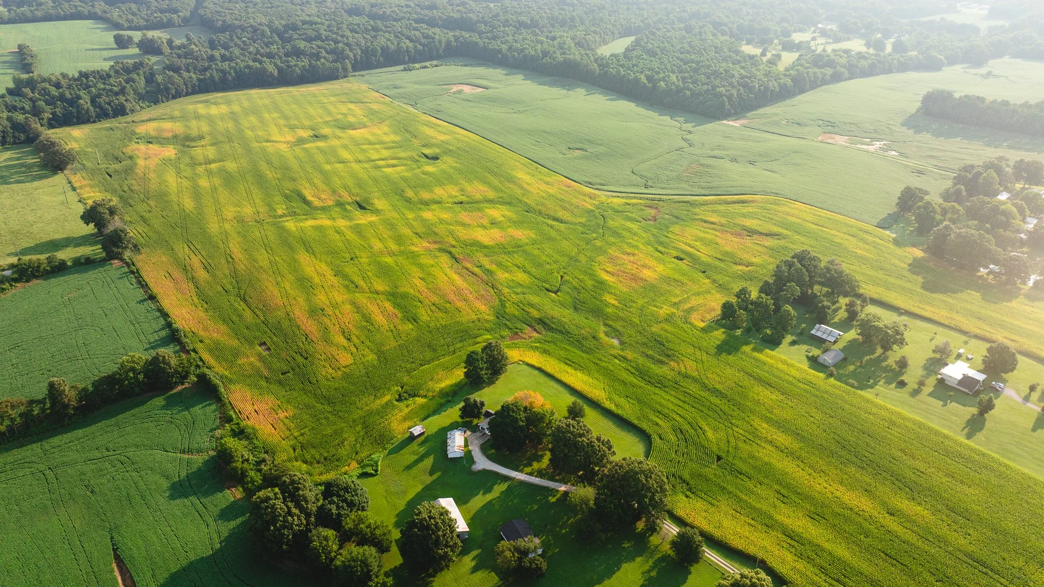 DJI_20260804151608_0054_D.jpg