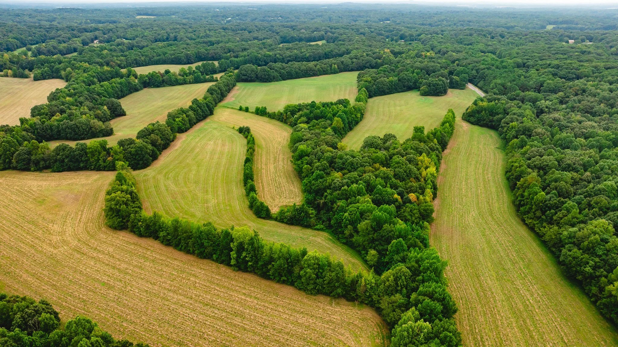 DJI_20260817171227_0002_D.jpg