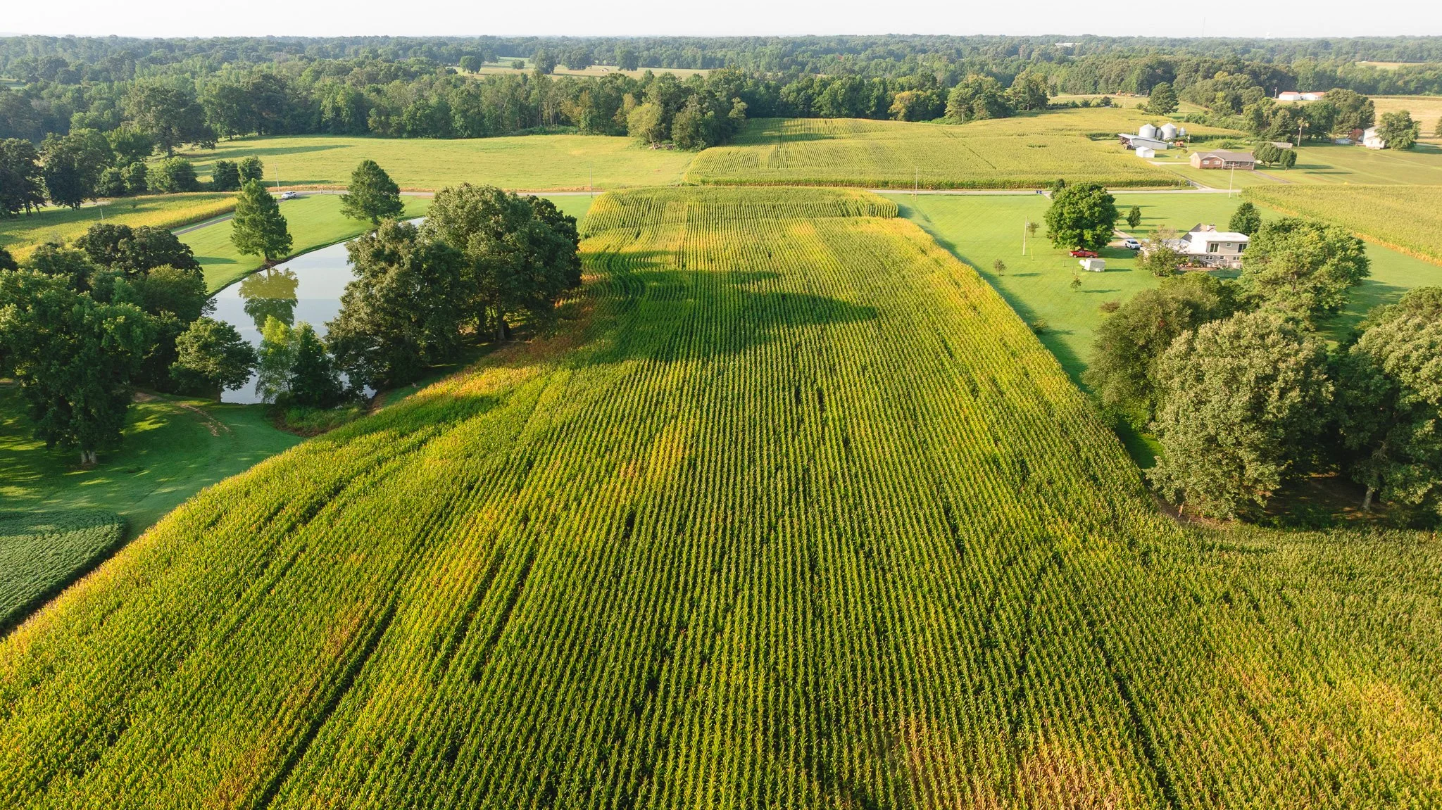 DJI_20260804150630_0029_D.jpg