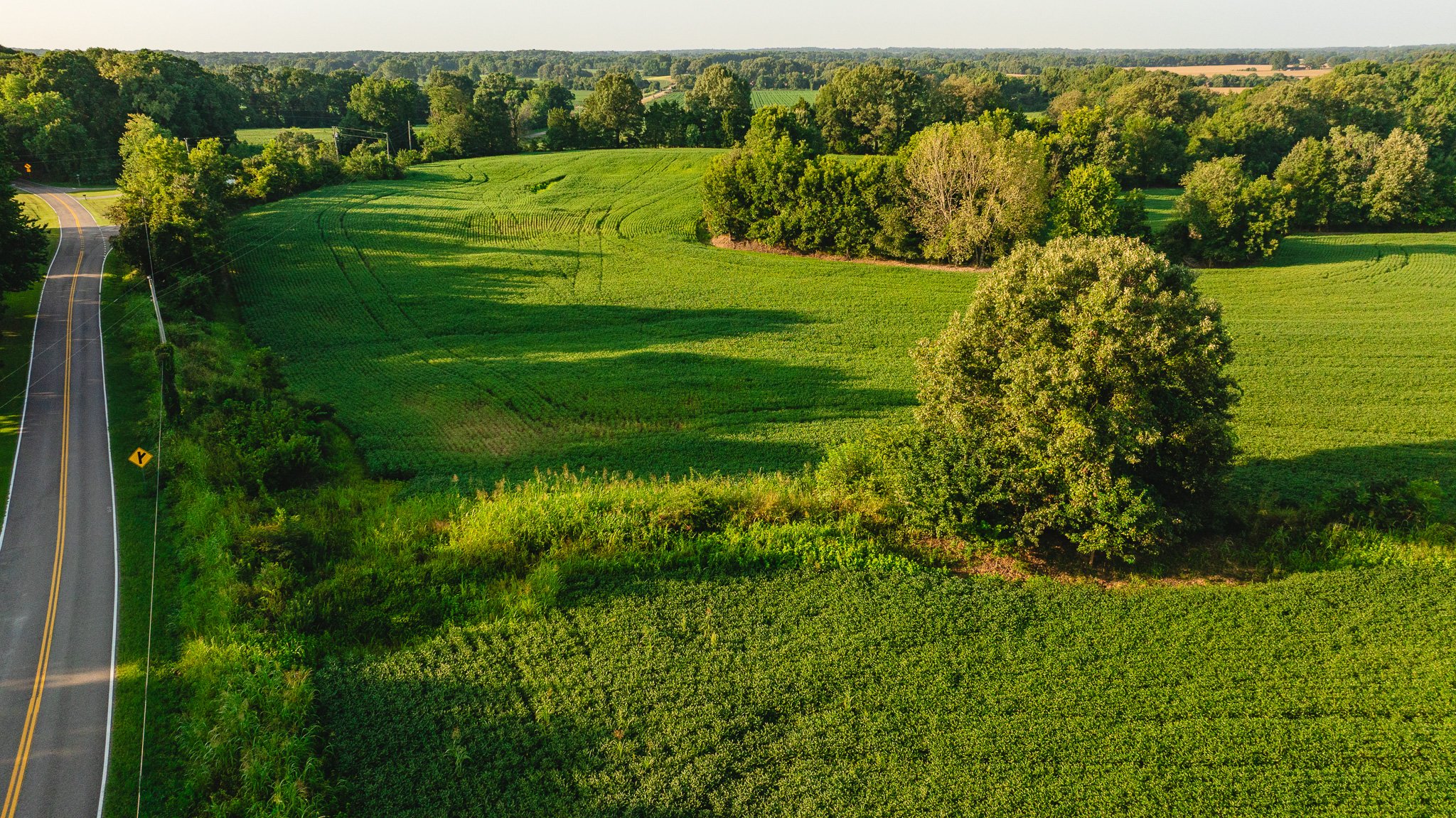 DJI_20260810150228_0011_D.jpg