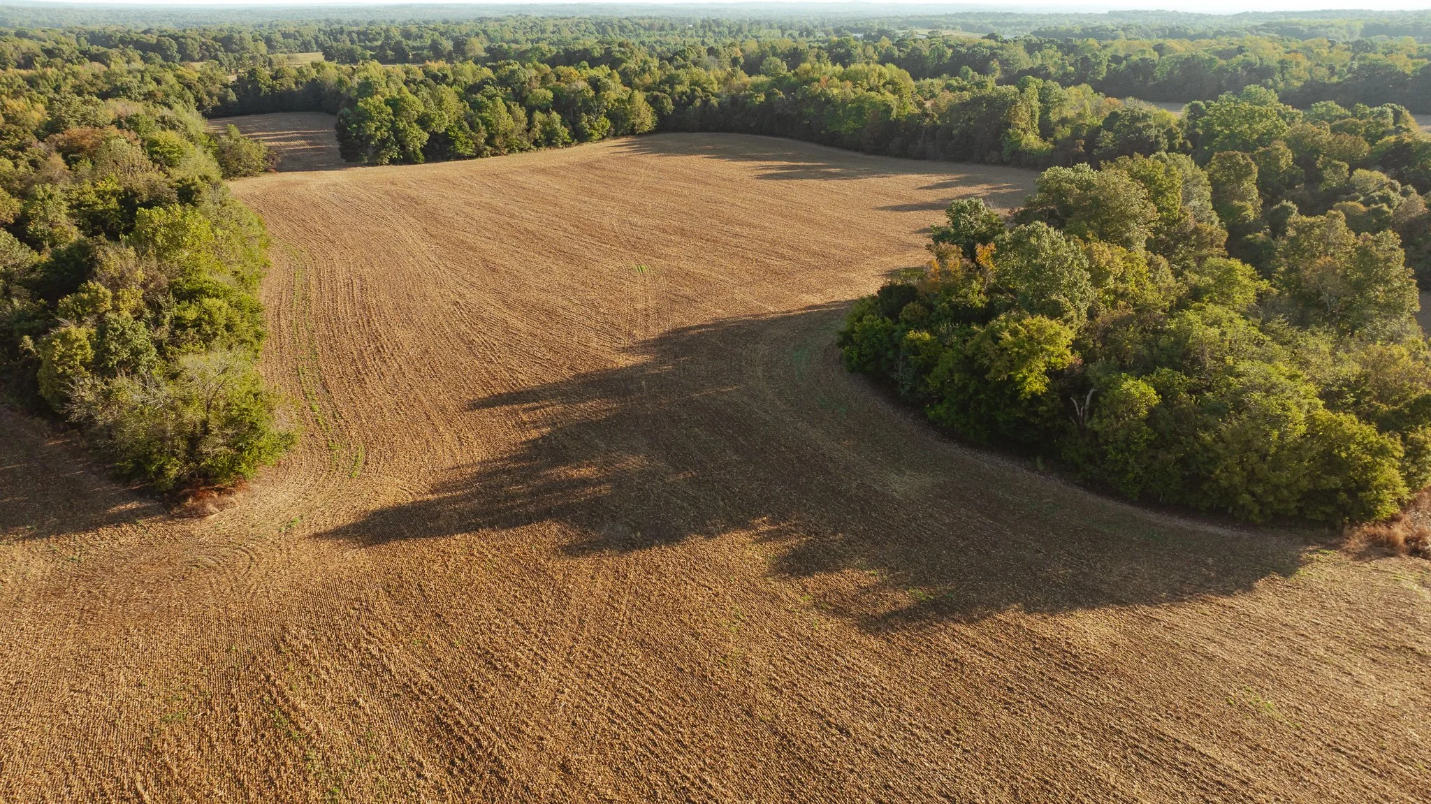 DJI_20261007150911_0024_D.jpg