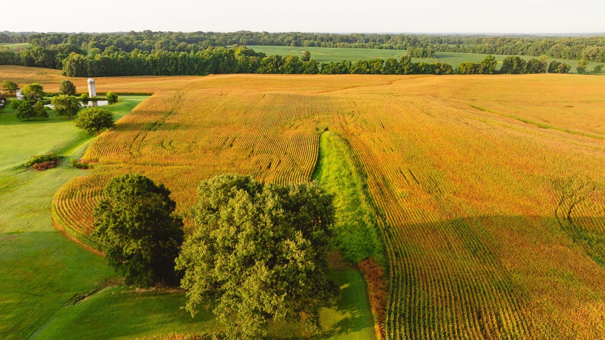 DJI_20260729143209_0036_D.jpg