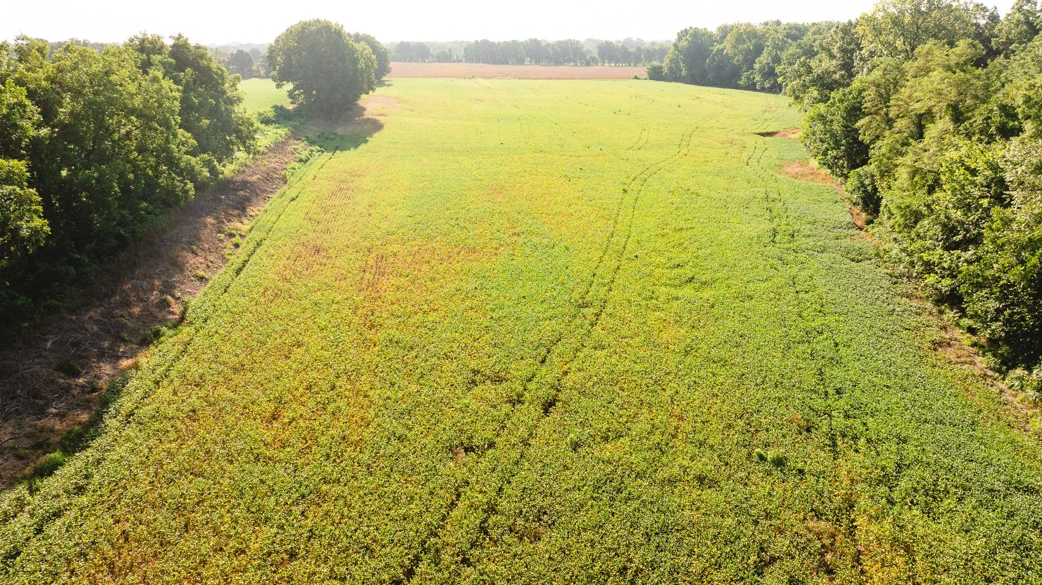 DJI_20260810155247_0034_D.jpg