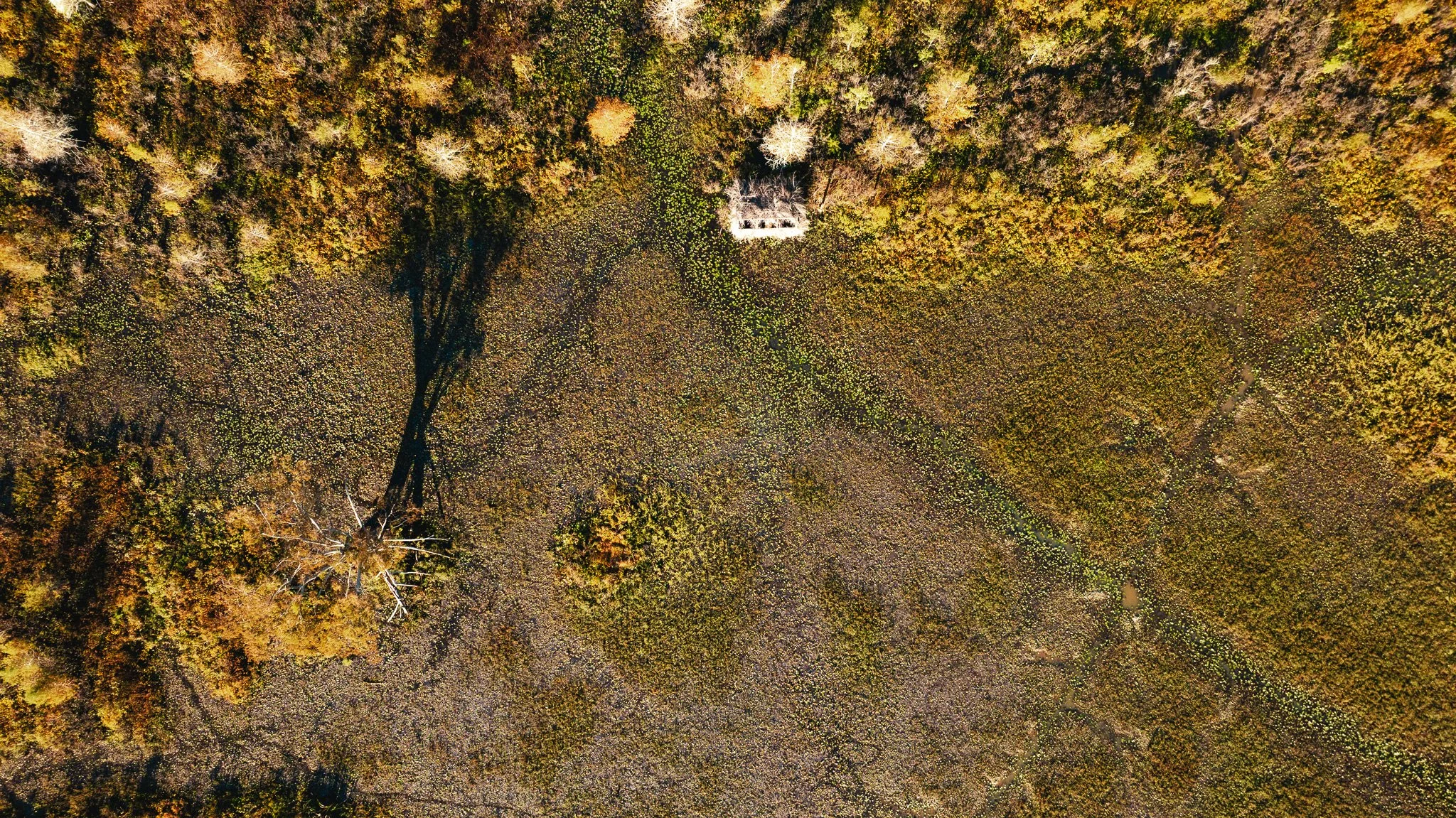 DJI_20261018154325_0006_D.jpg