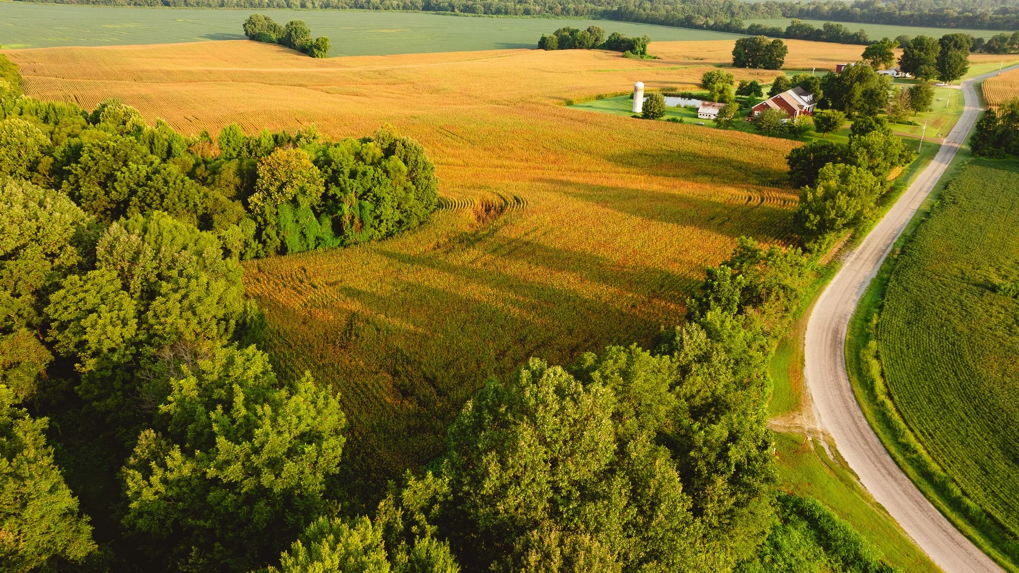 DJI_20260729143307_0038_D.jpg