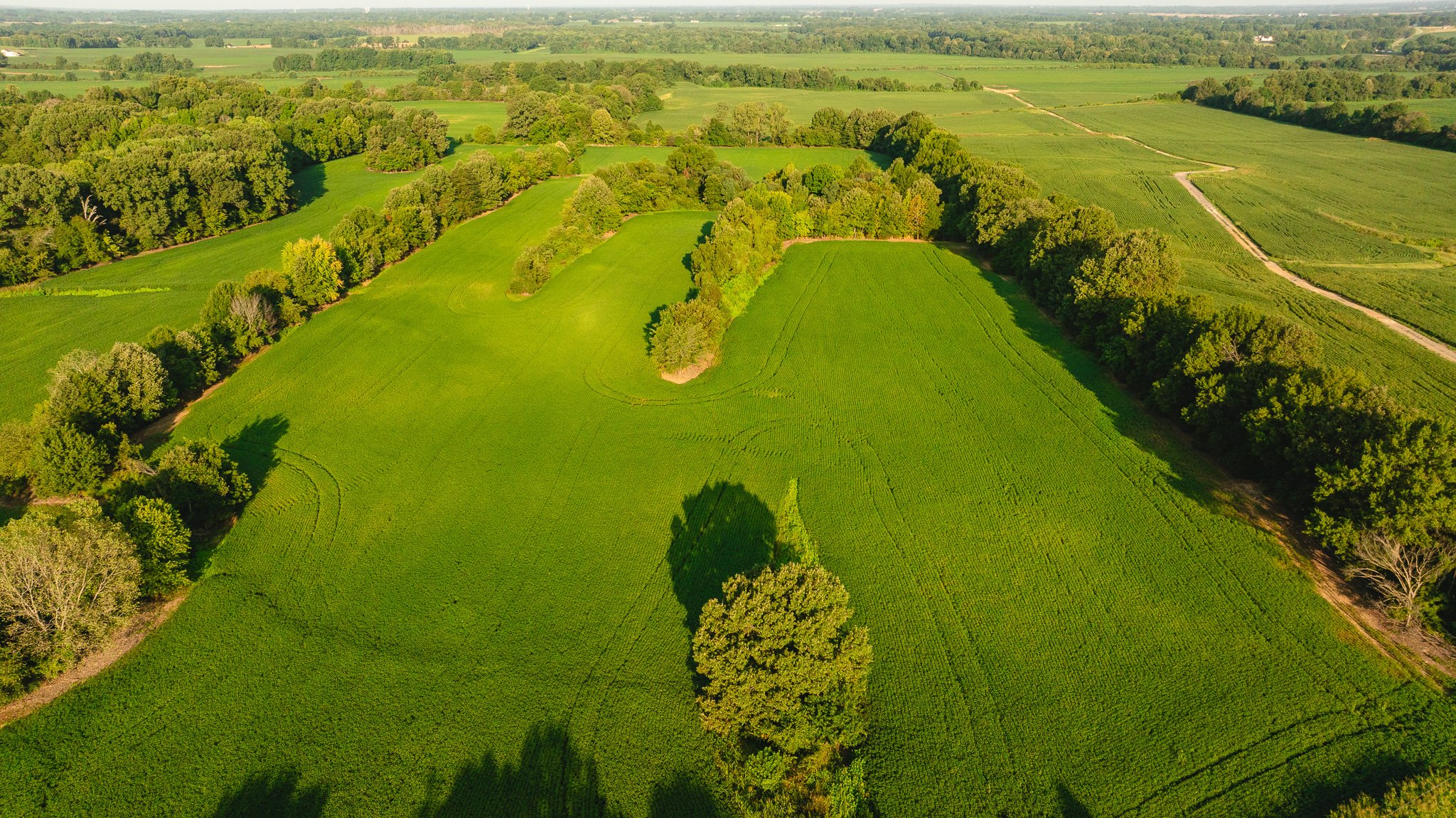 DJI_20260810150058_0006_D.jpg