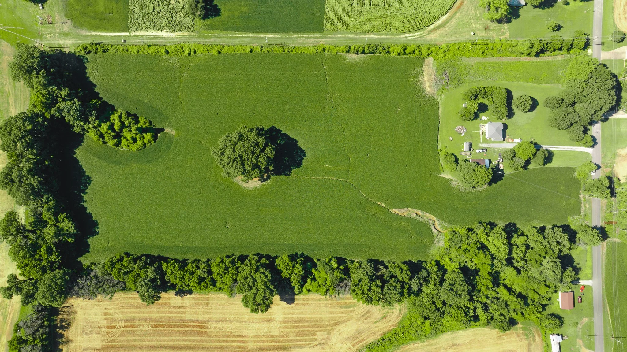 DJI_20260614165955_0006_D.jpg