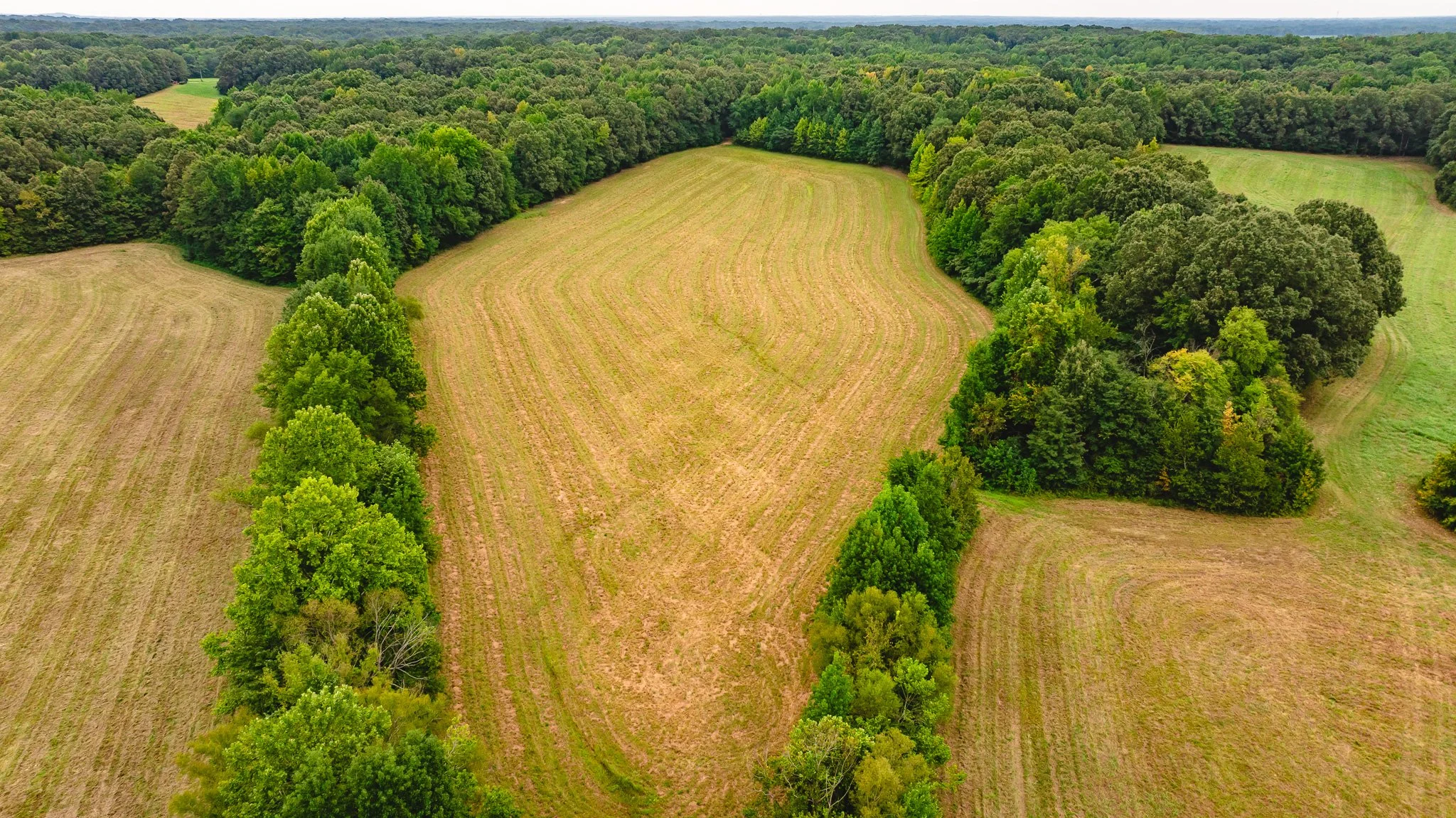 DJI_20260817172001_0020_D.jpg