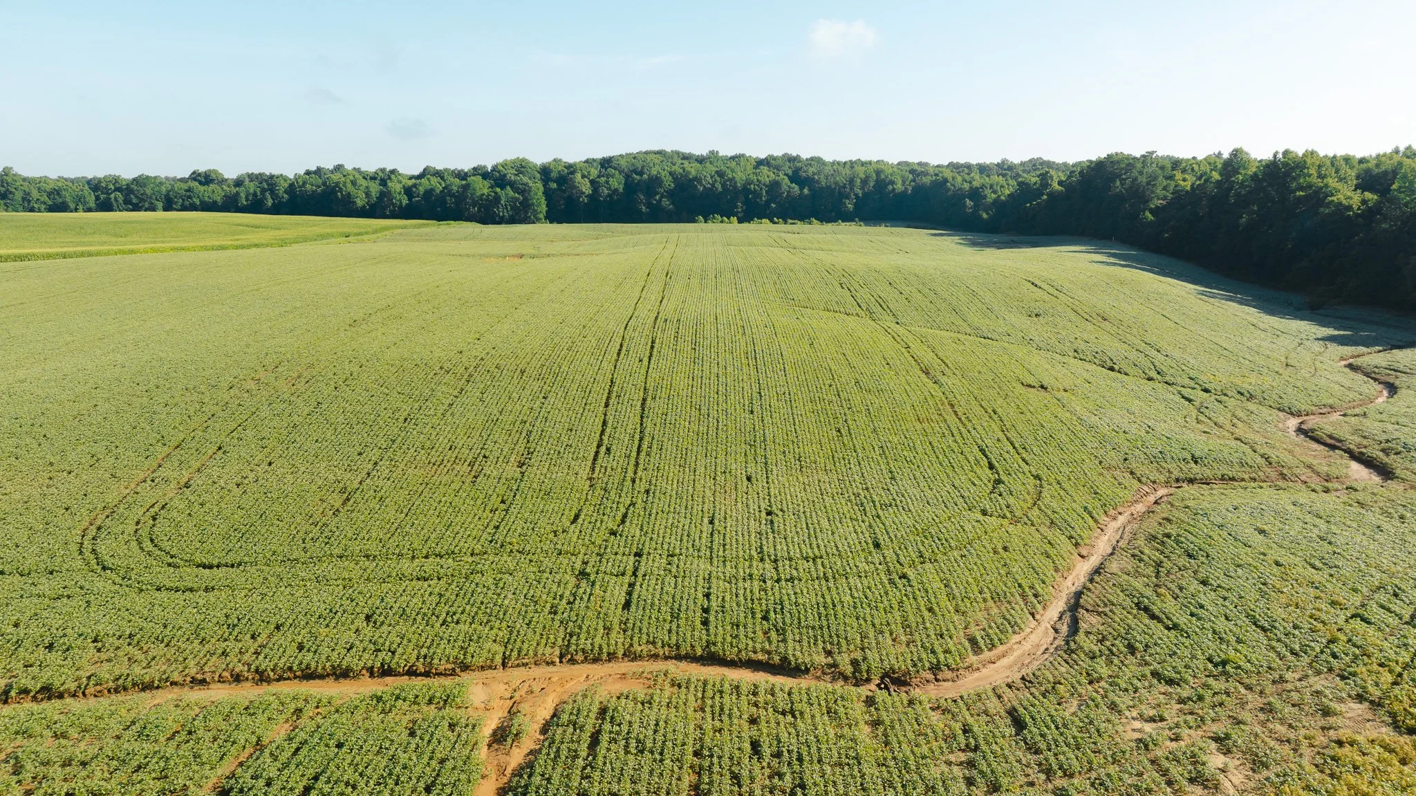 DJI_20260621152336_0038_D.jpg