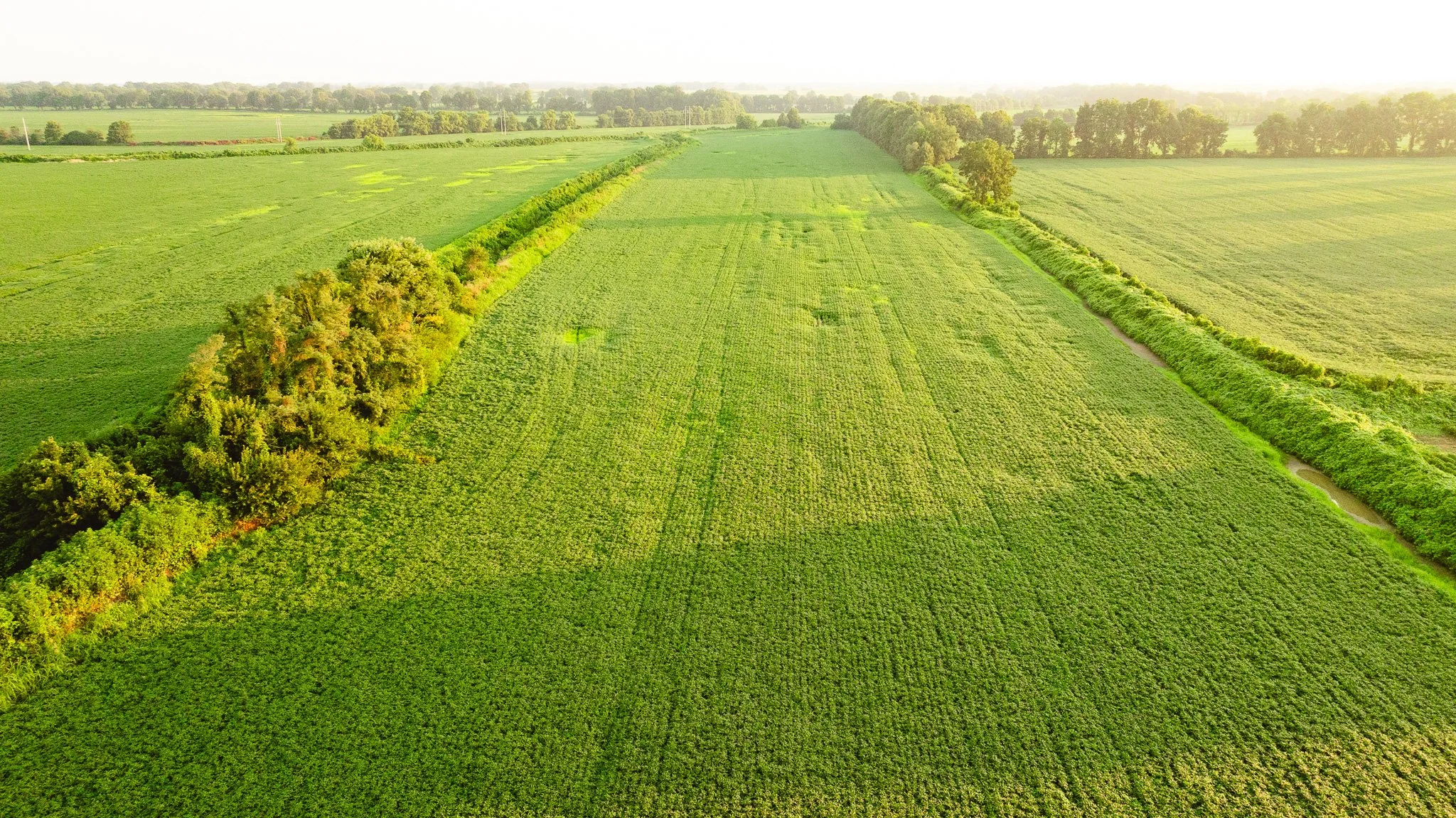 DJI_20260726140540_0049_D.jpg