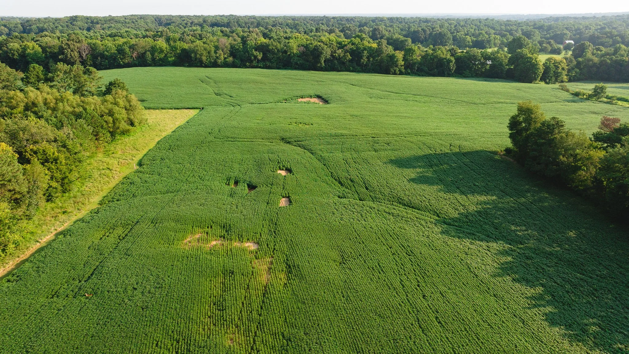 DJI_20260804152202_0072_D.jpg