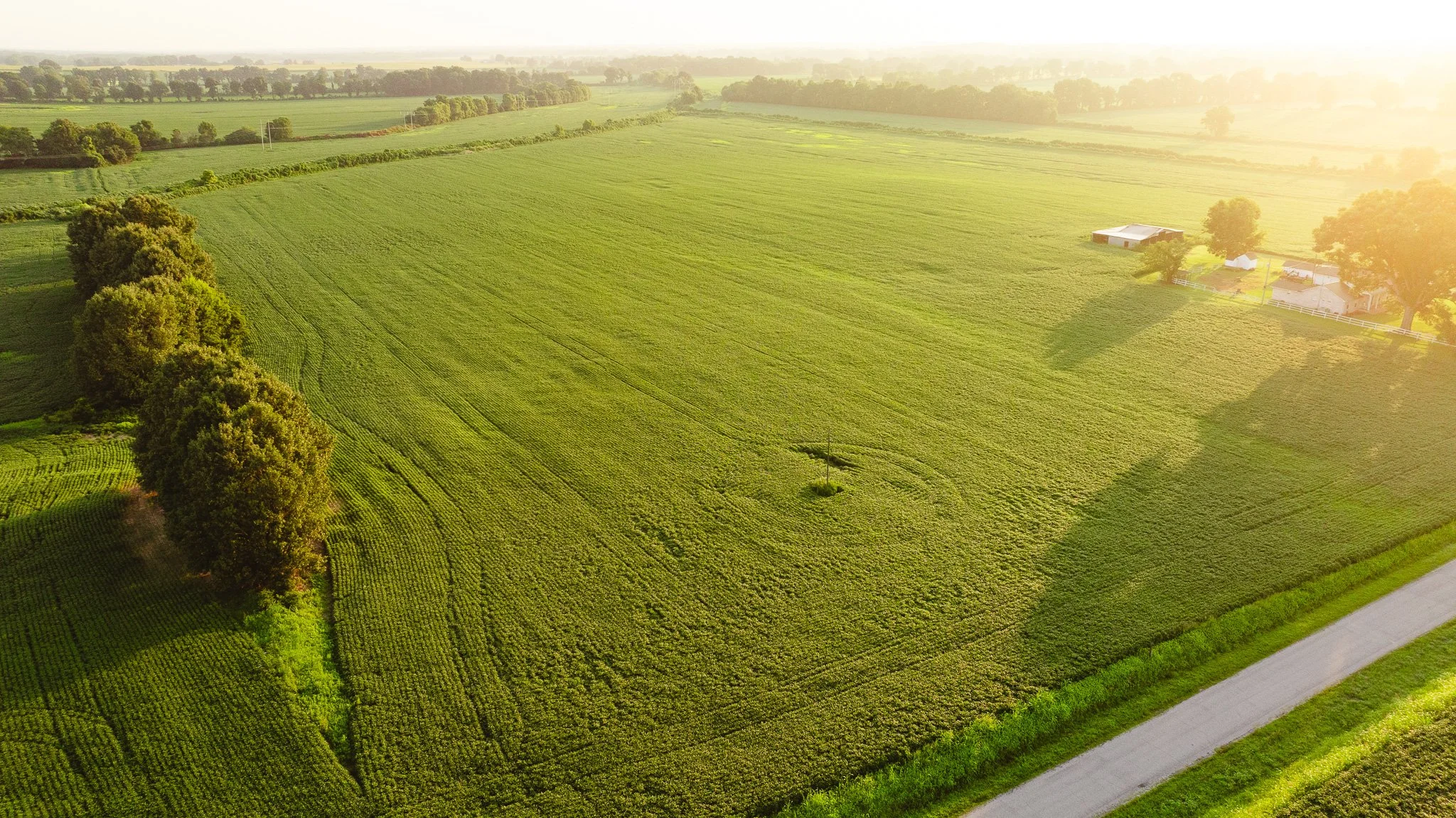 DJI_20260726140856_0052_D.jpg