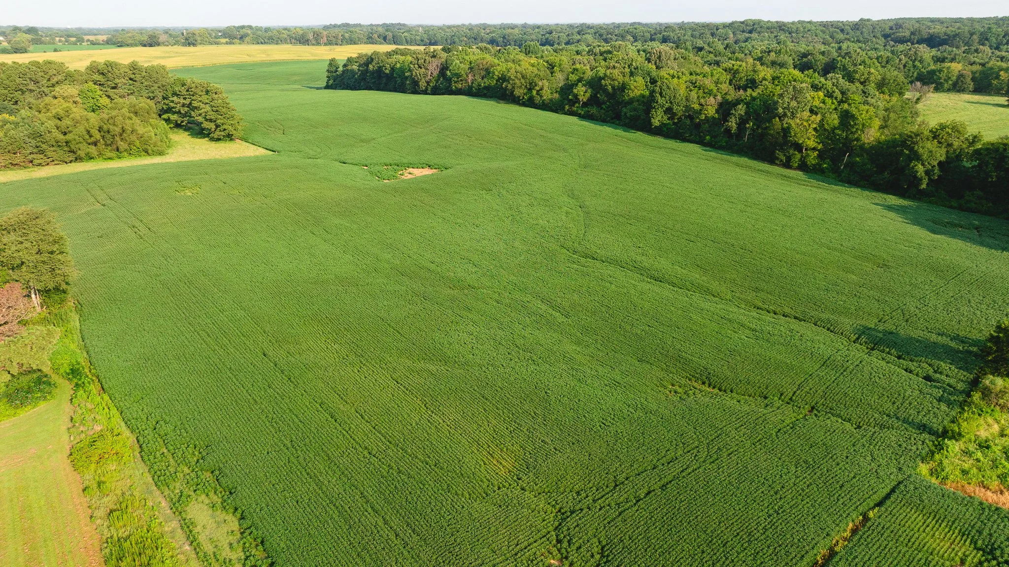 DJI_20260804152236_0074_D.jpg