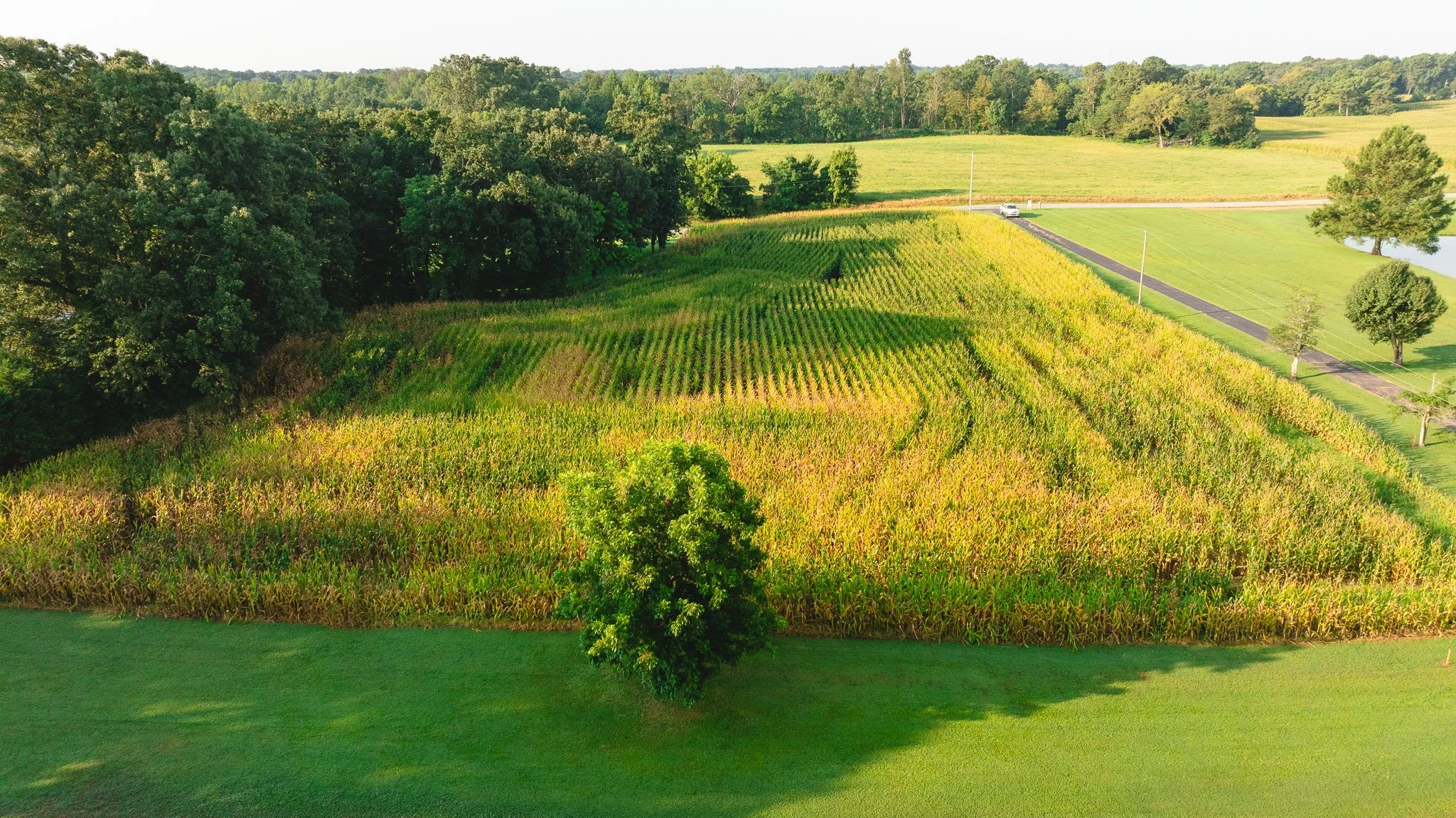 DJI_20260804151112_0043_D.jpg