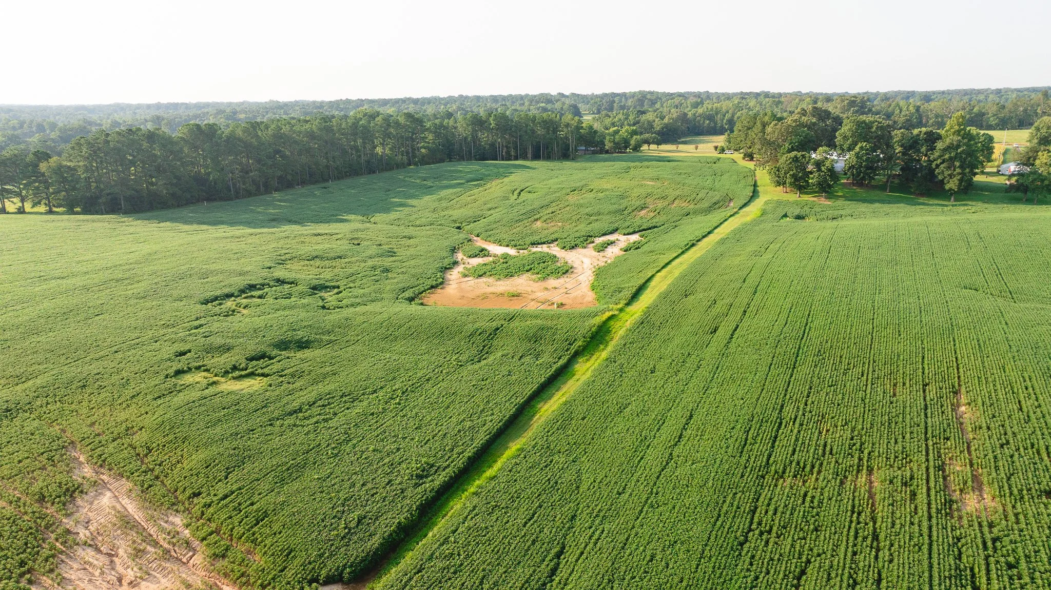 DJI_20260804152006_0065_D.jpg