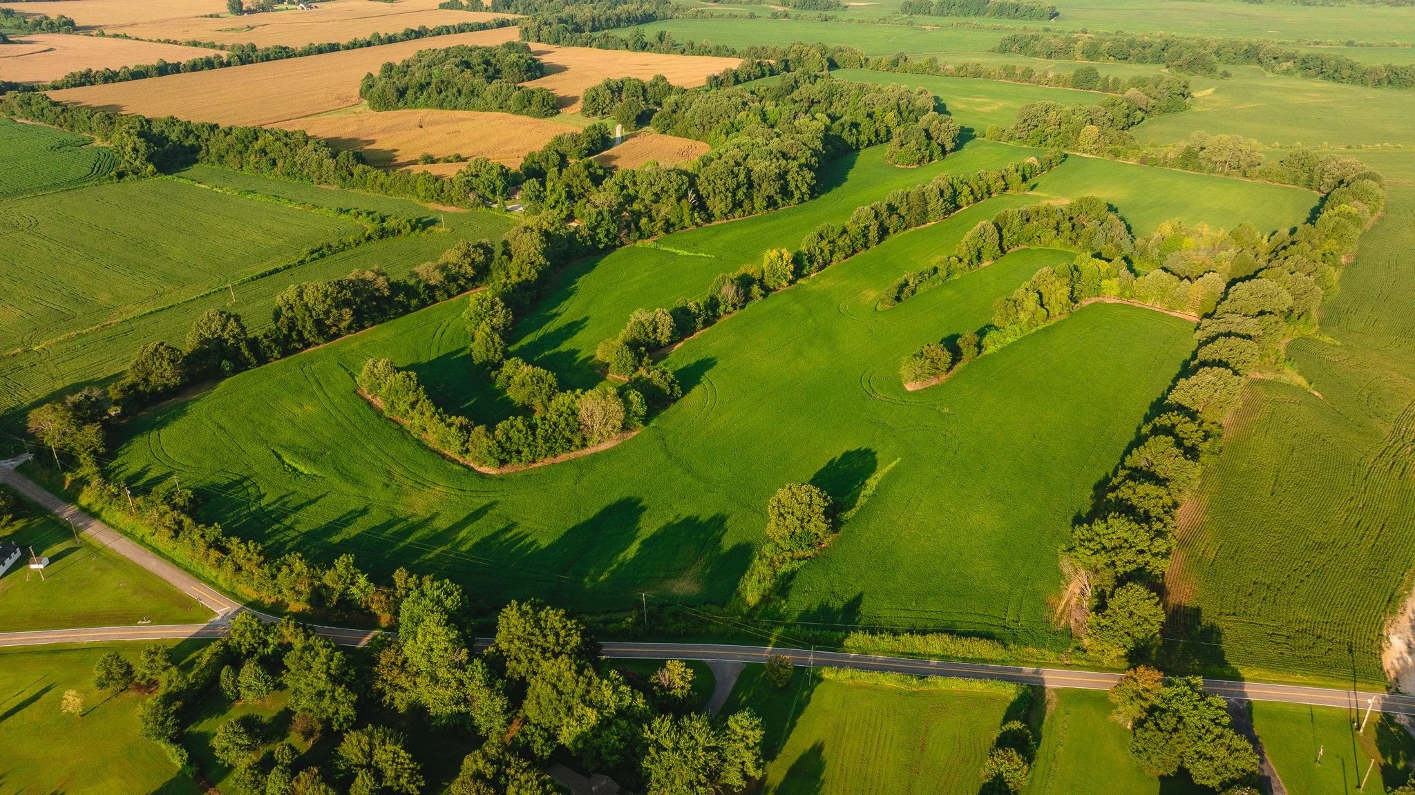 DJI_20260810150039_0005_D.jpg