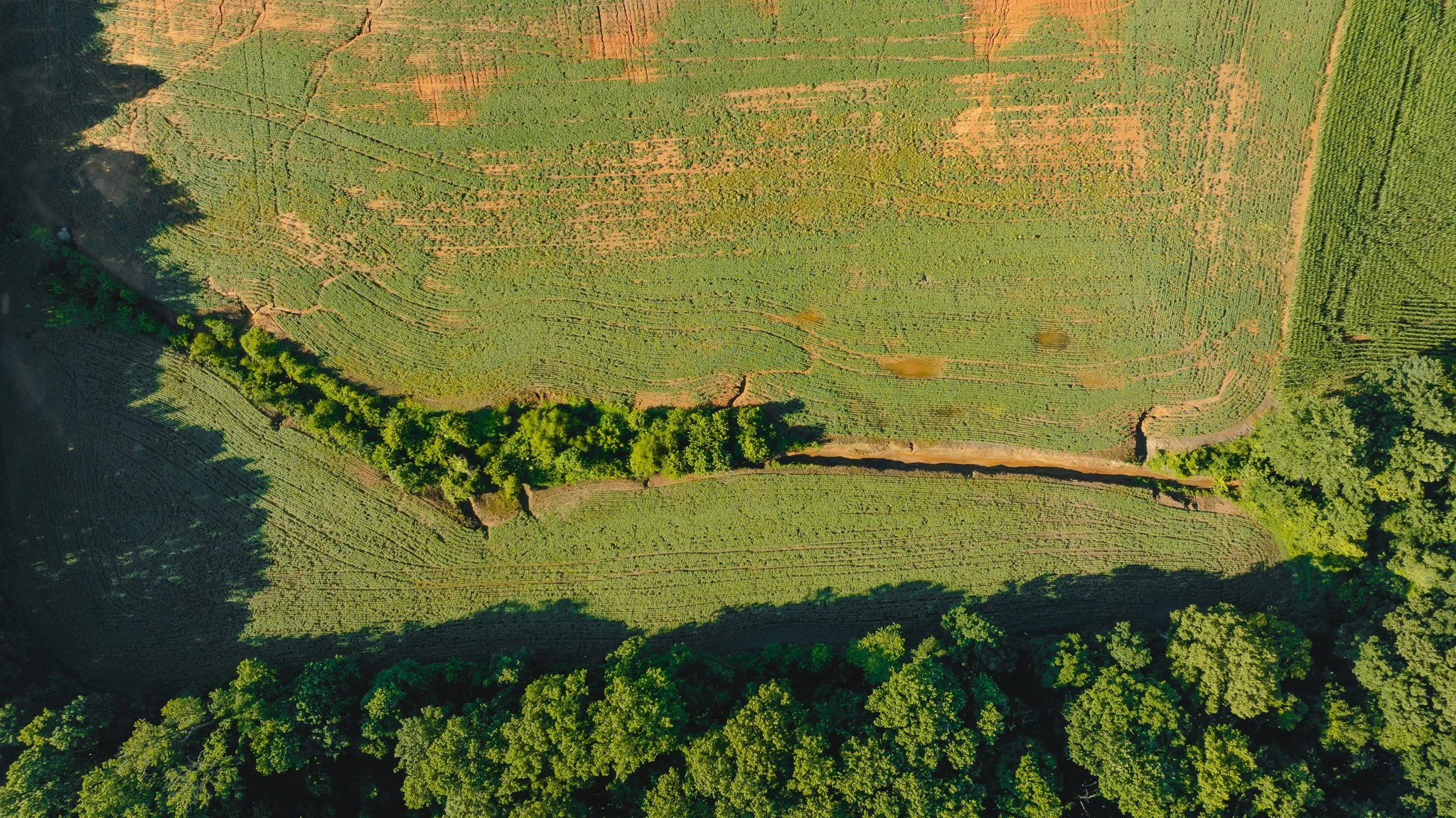 DJI_20260621152425_0039_D.jpg
