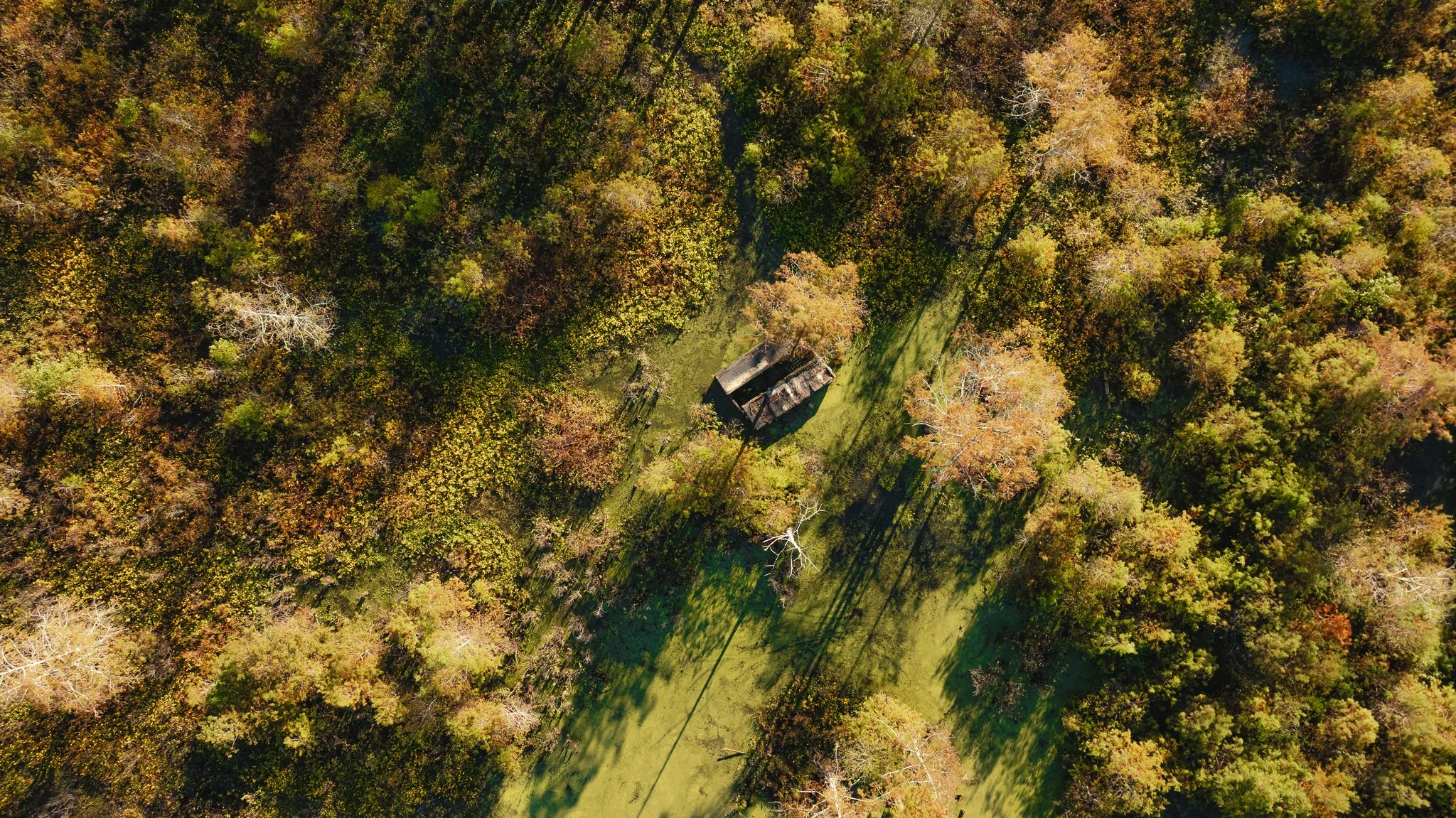 DJI_20261018155248_0024_D.jpg