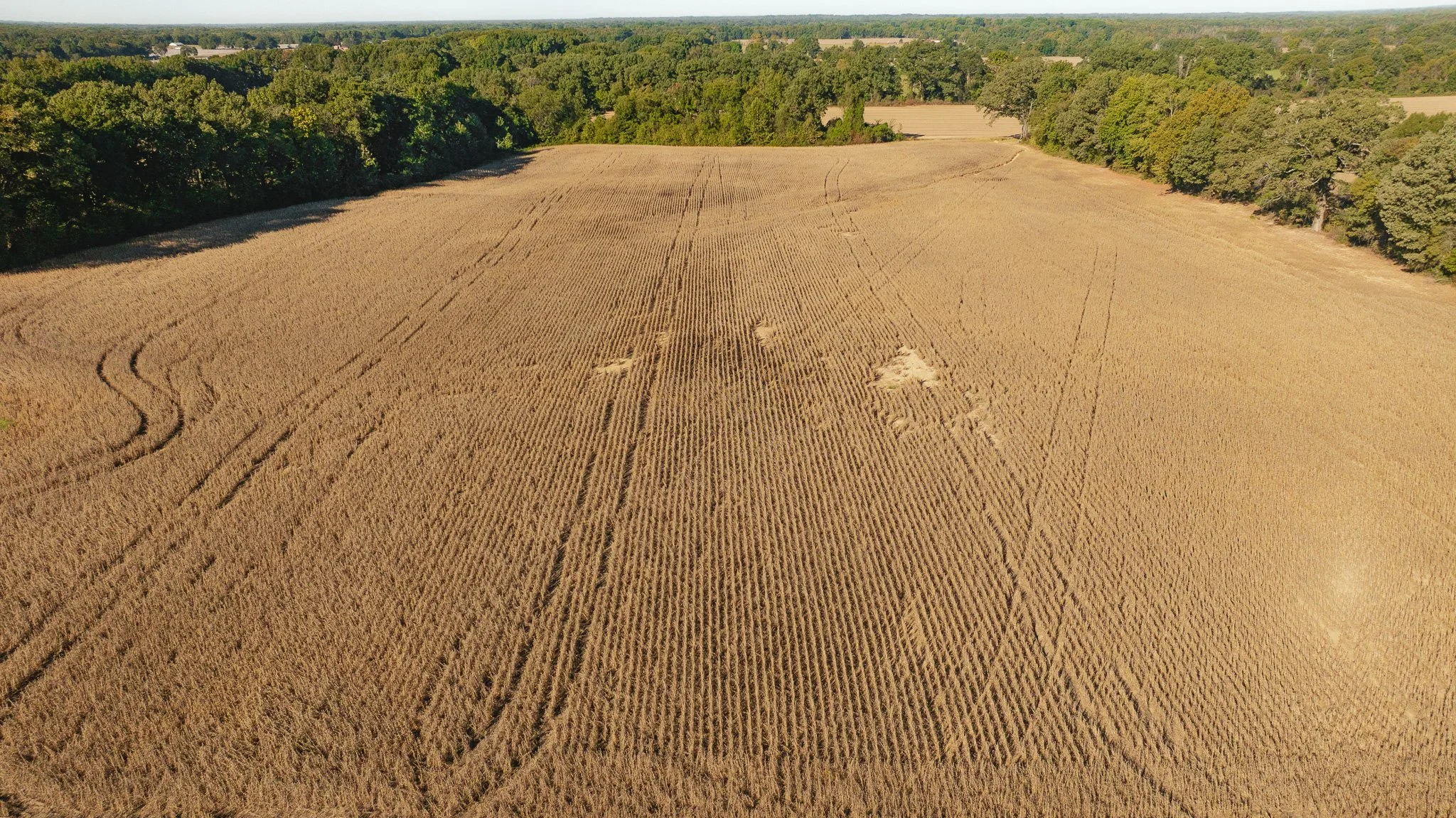 dji_fly_20261018_163430_0088_1792519578996_photo.jpg