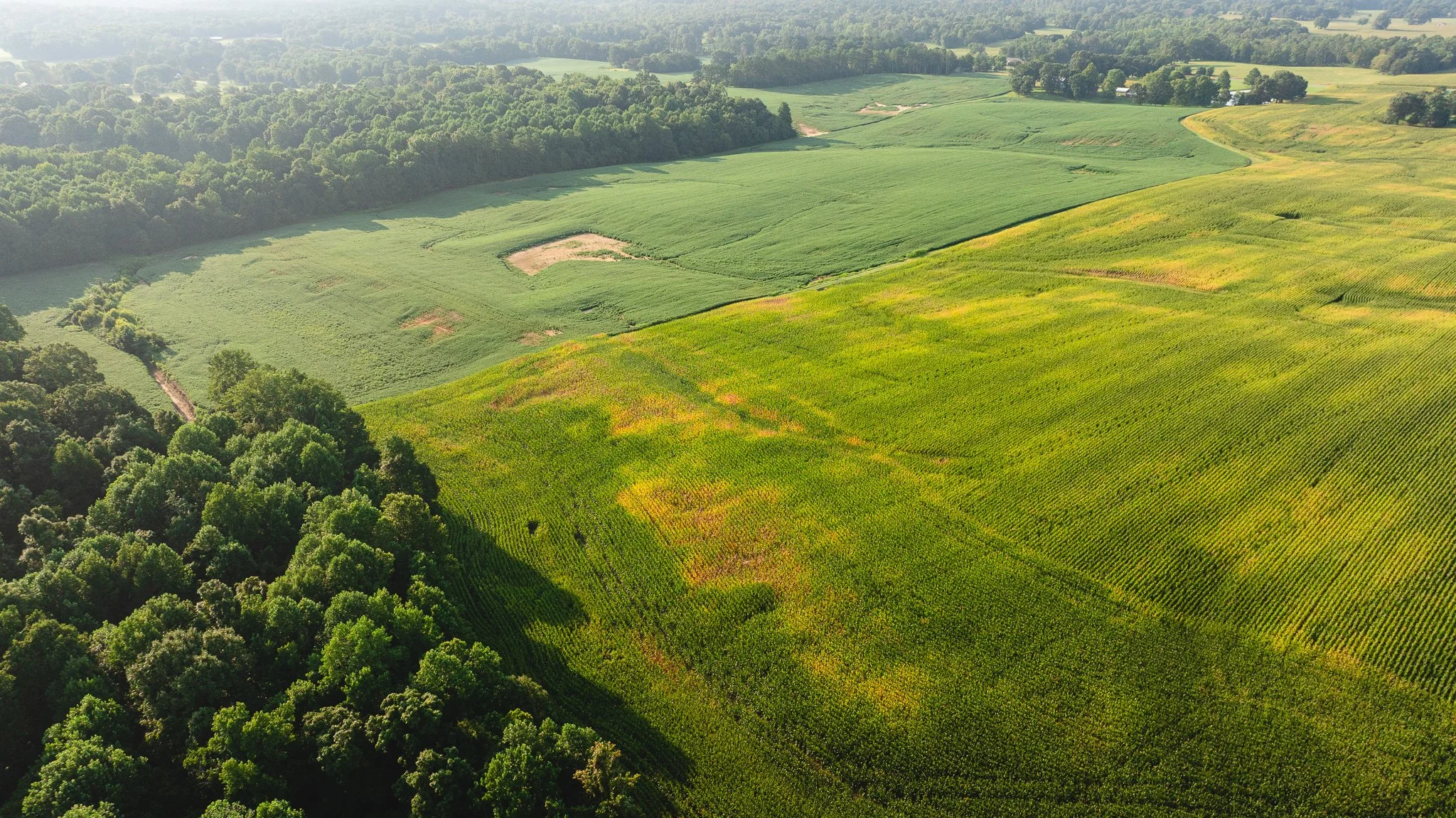 DJI_20260804151800_0058_D.jpg