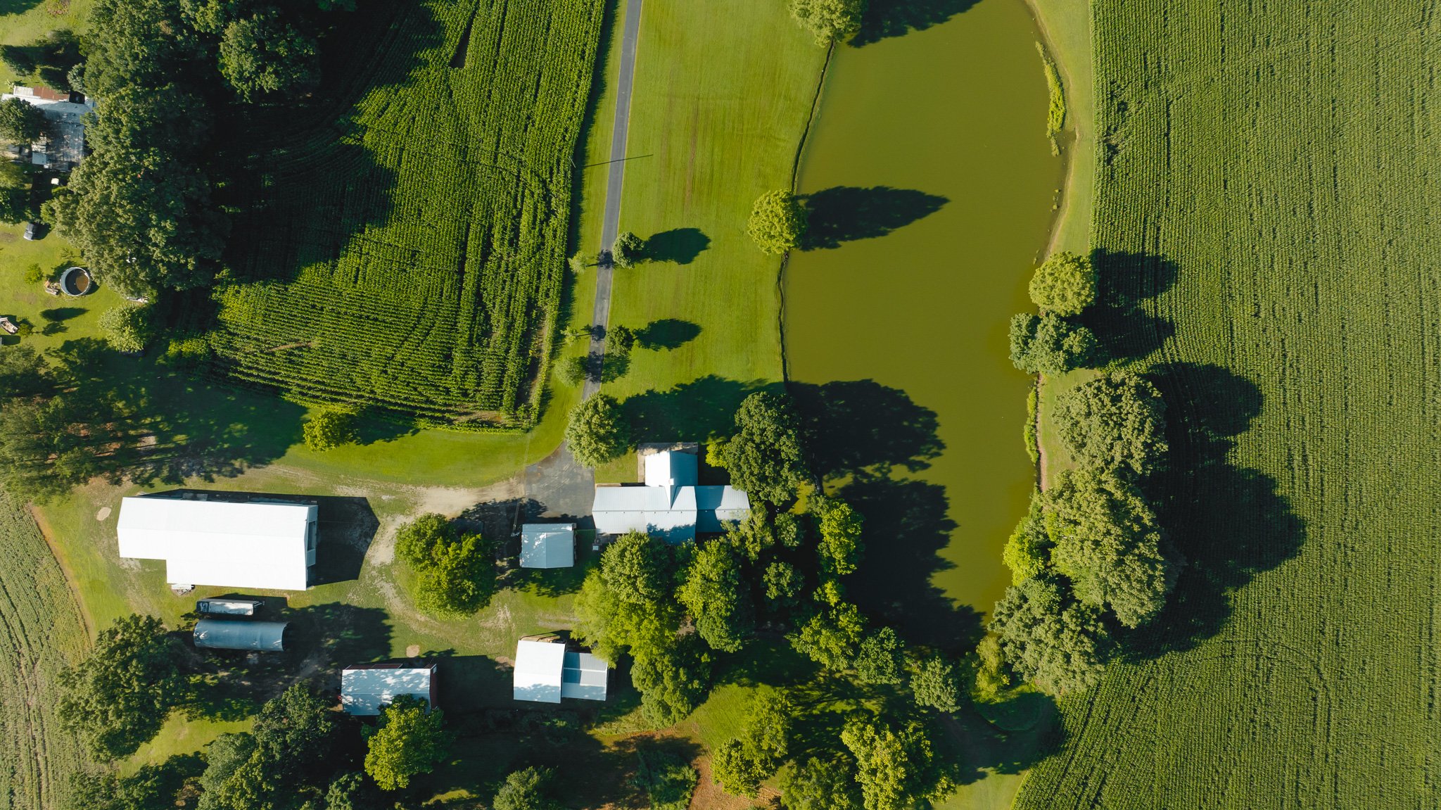 DJI_20260621152100_0035_D.jpg