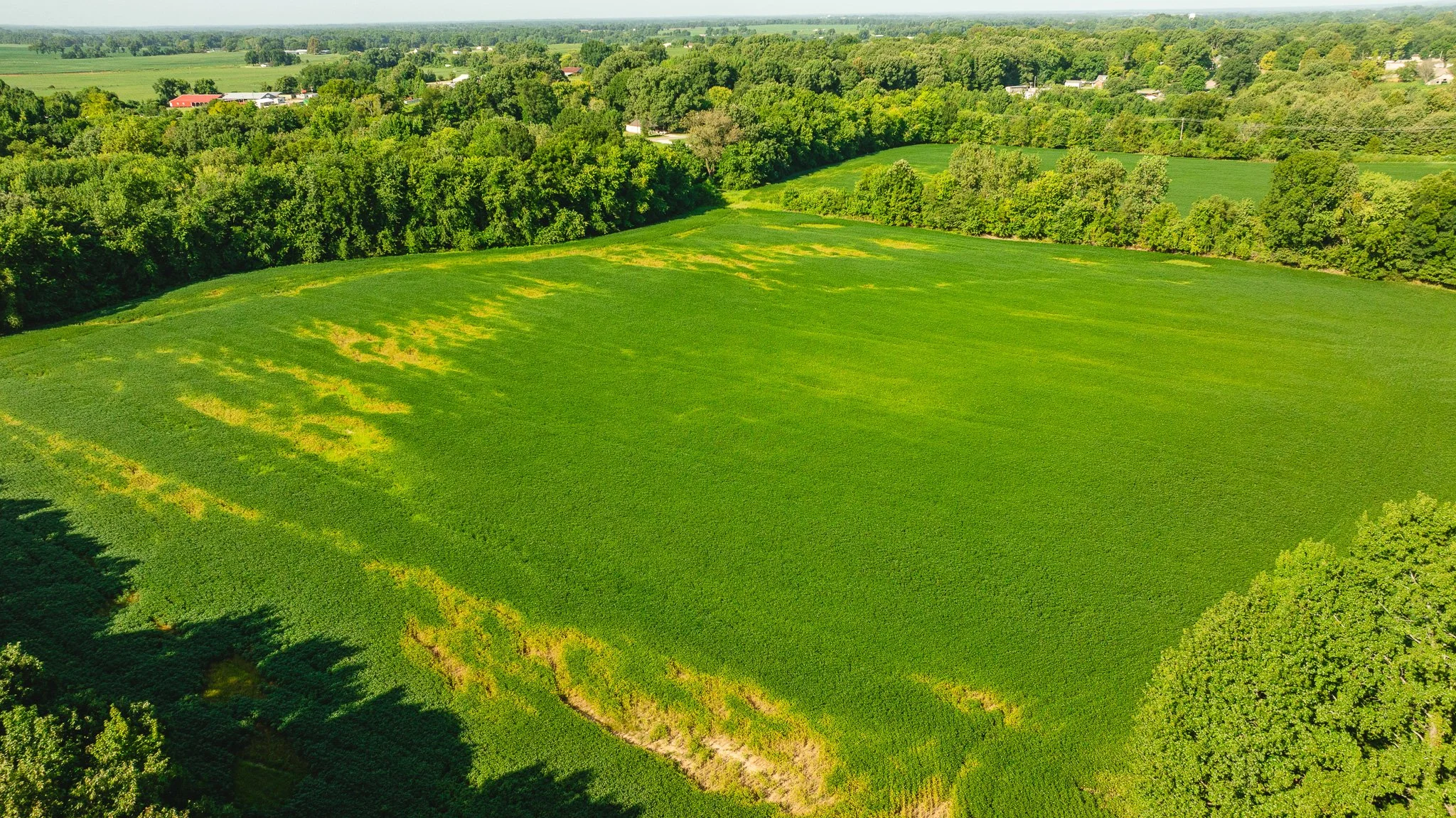 DJI_20260810164000_0080_D.jpg