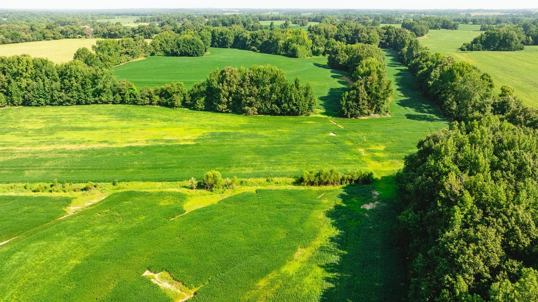 DJI_20260810170651_0099_D.jpg