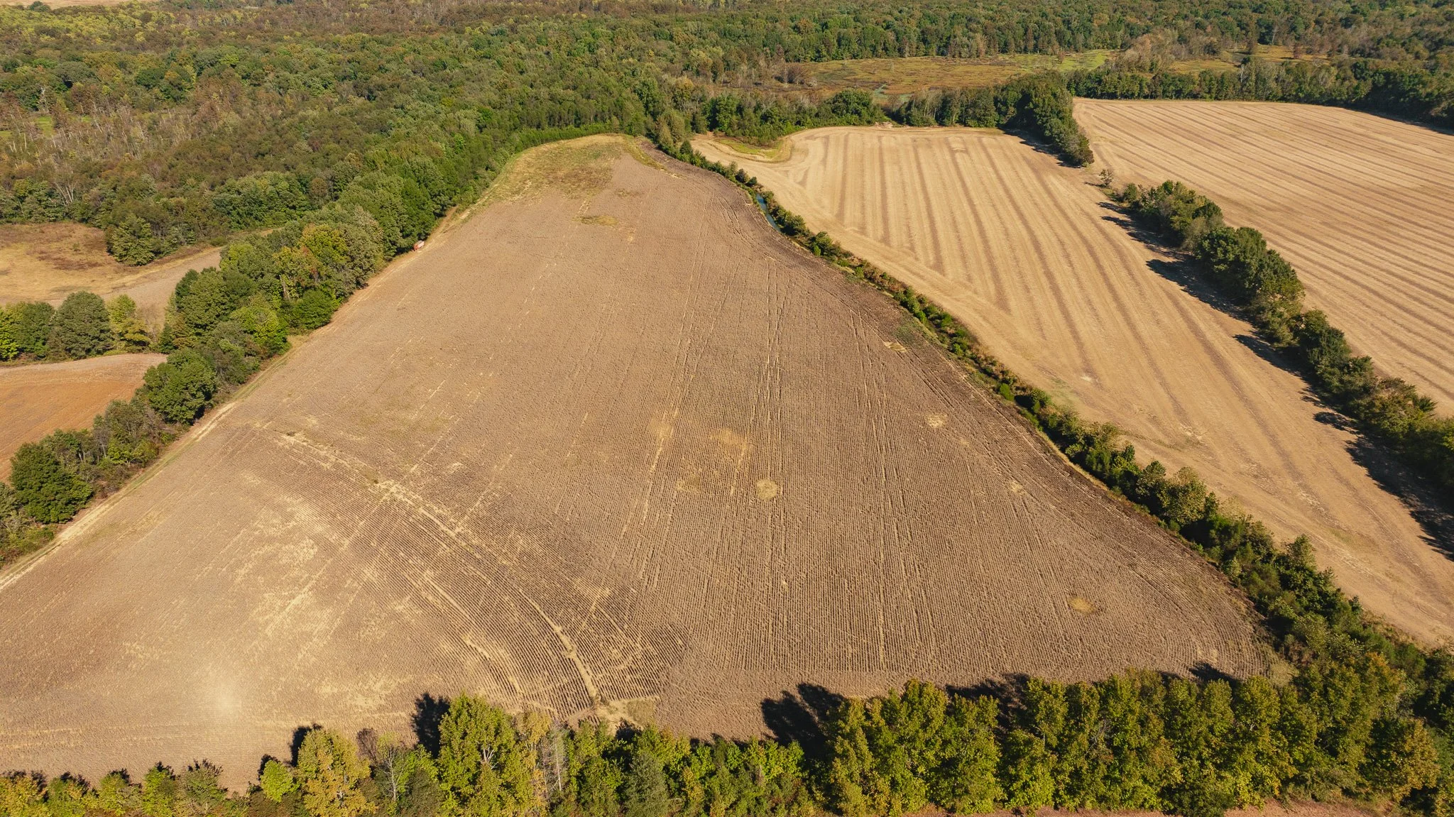 DJI_20261018180156_0063_D.jpg