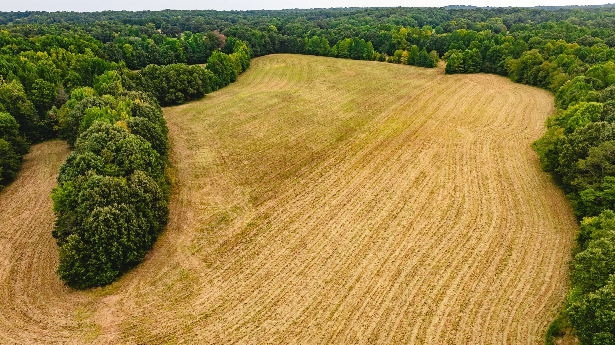DJI_20260817171454_0009_D.jpg