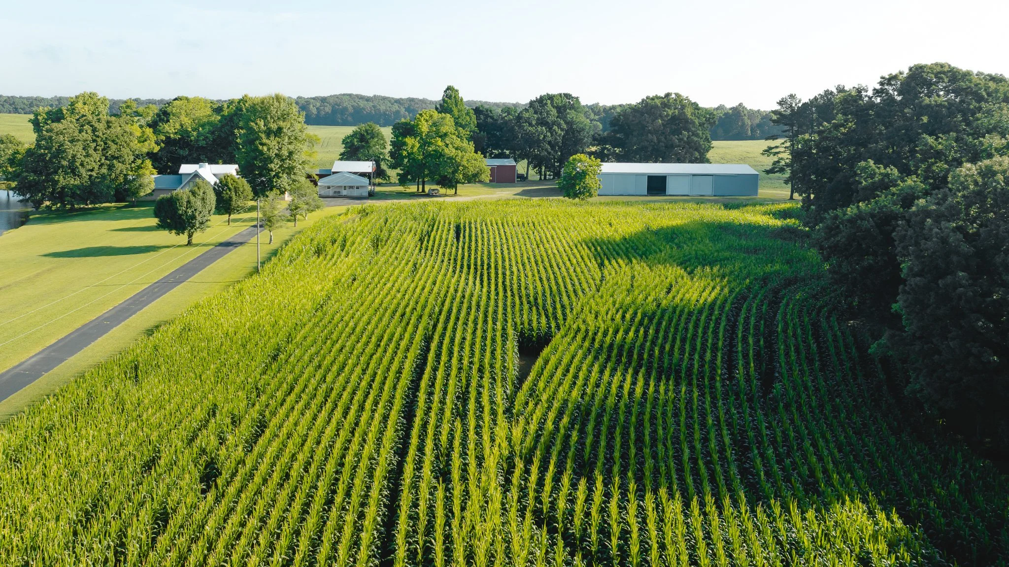 DJI_20260621151805_0029_D.jpg