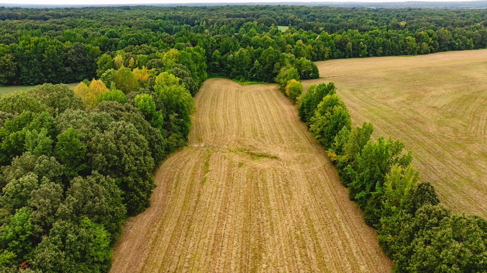 DJI_20260817171719_0014_D.jpg