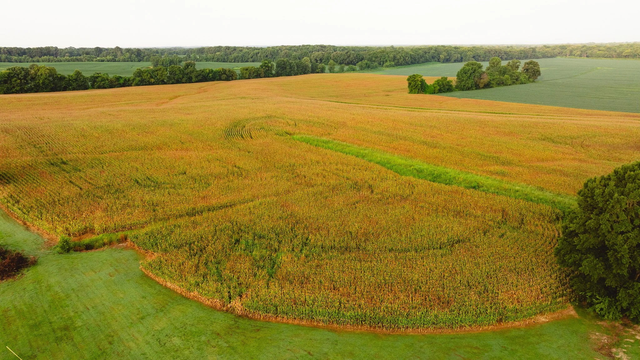 DJI_20260729142505_0018_D.jpg