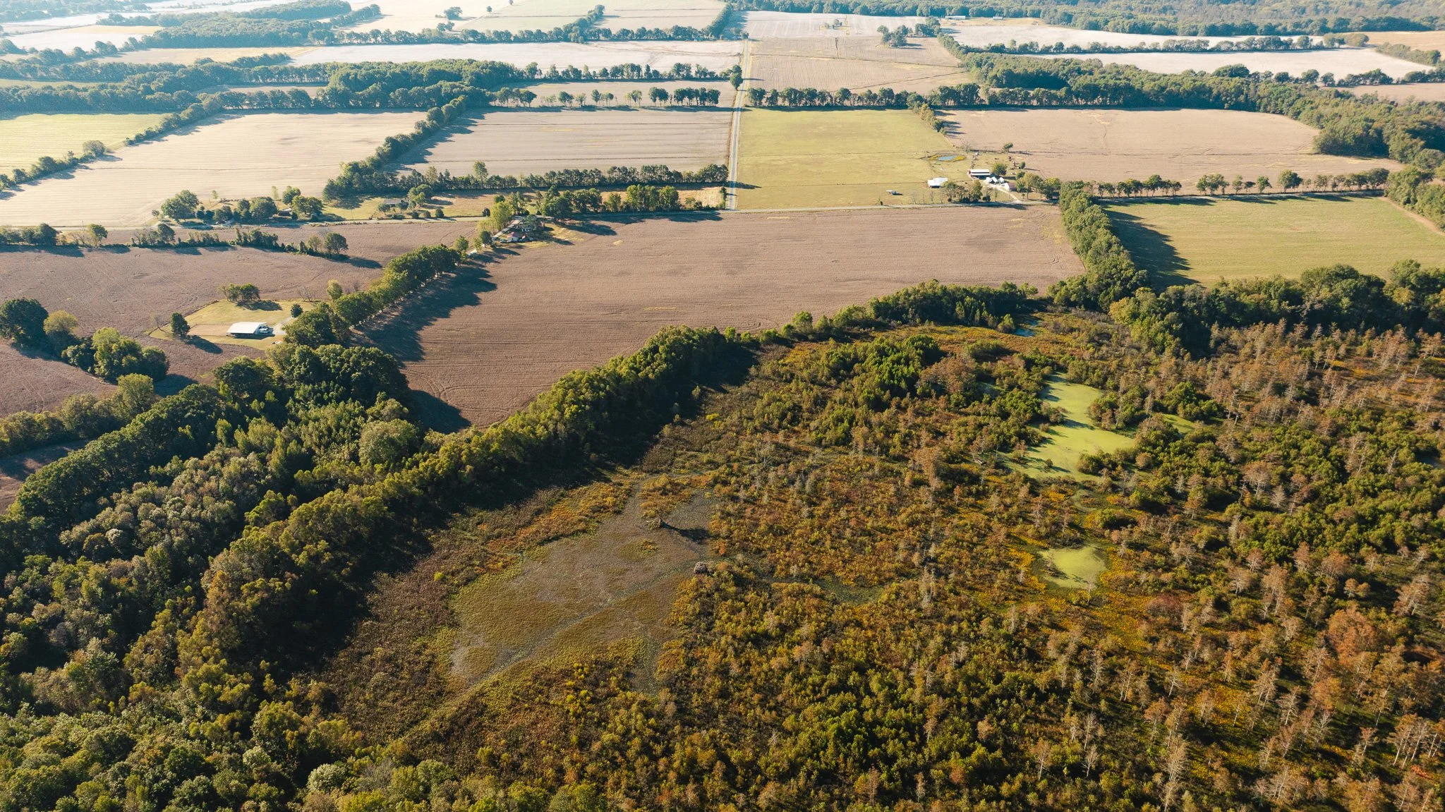 DJI_20261018160639_0049_D.jpg